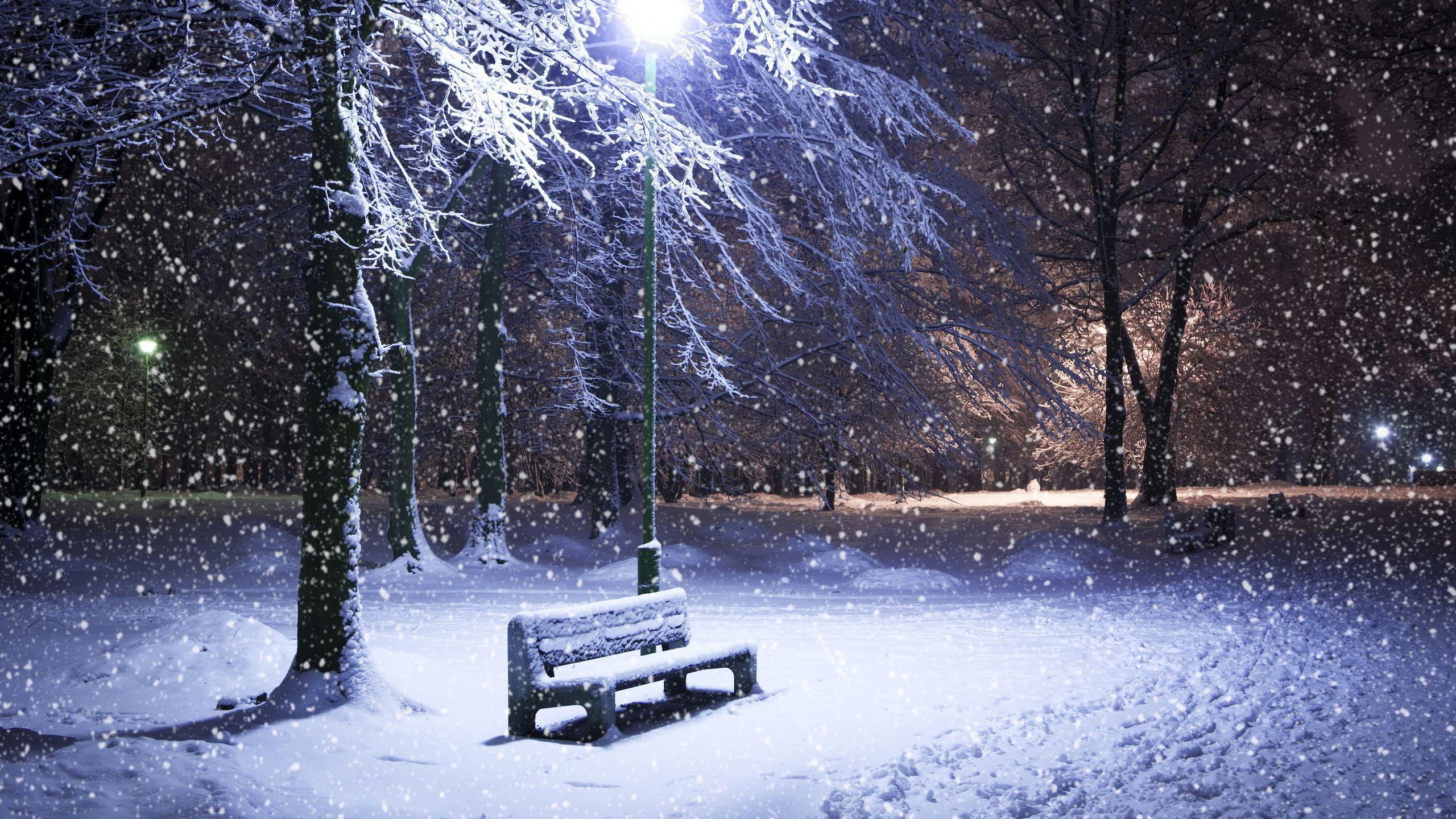 2560x1440 Snow in Moscow park wallpaper and image, picture