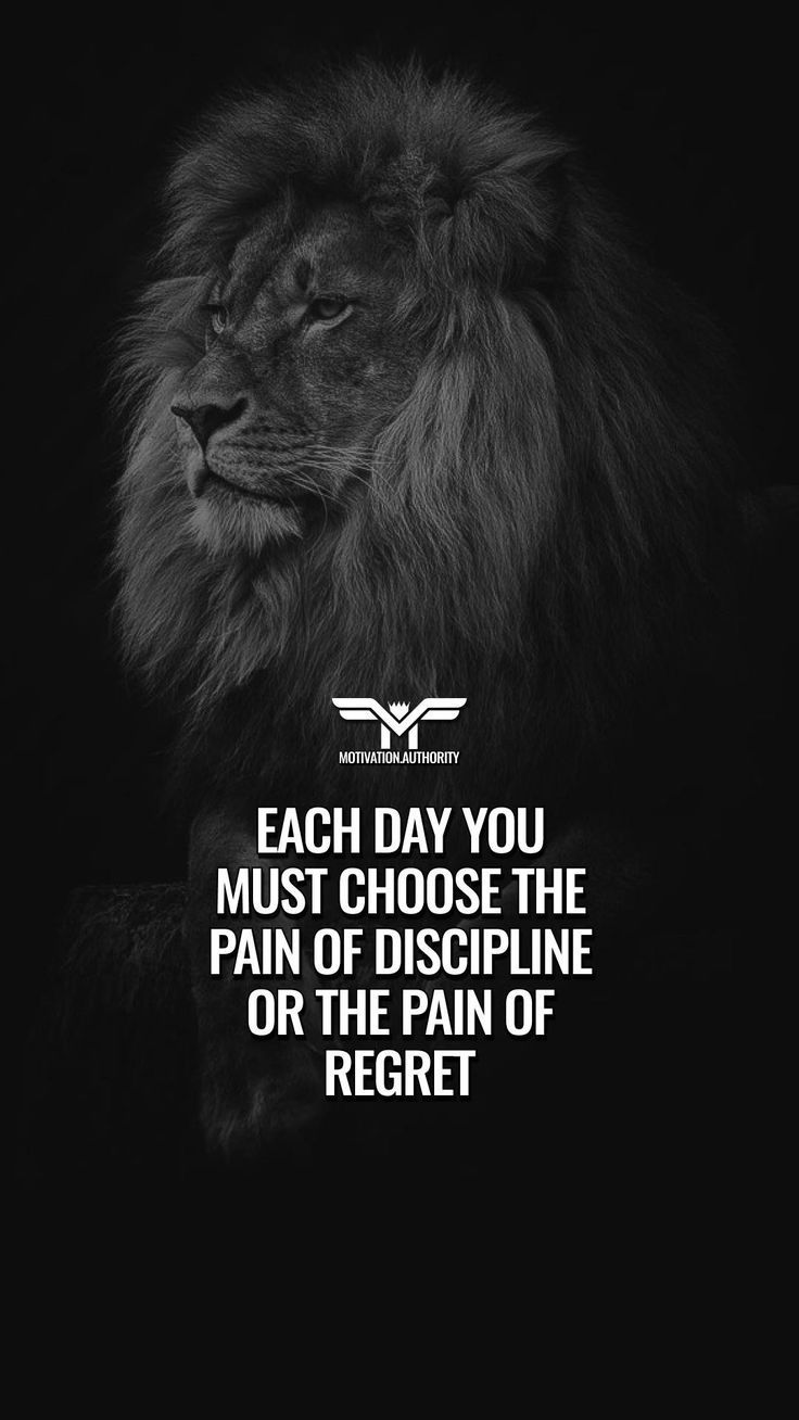 736x1308 Best Quotes for Positive Inspiration. Discipline quote with lion symbol, Lion wallpaper with quotes, Beast