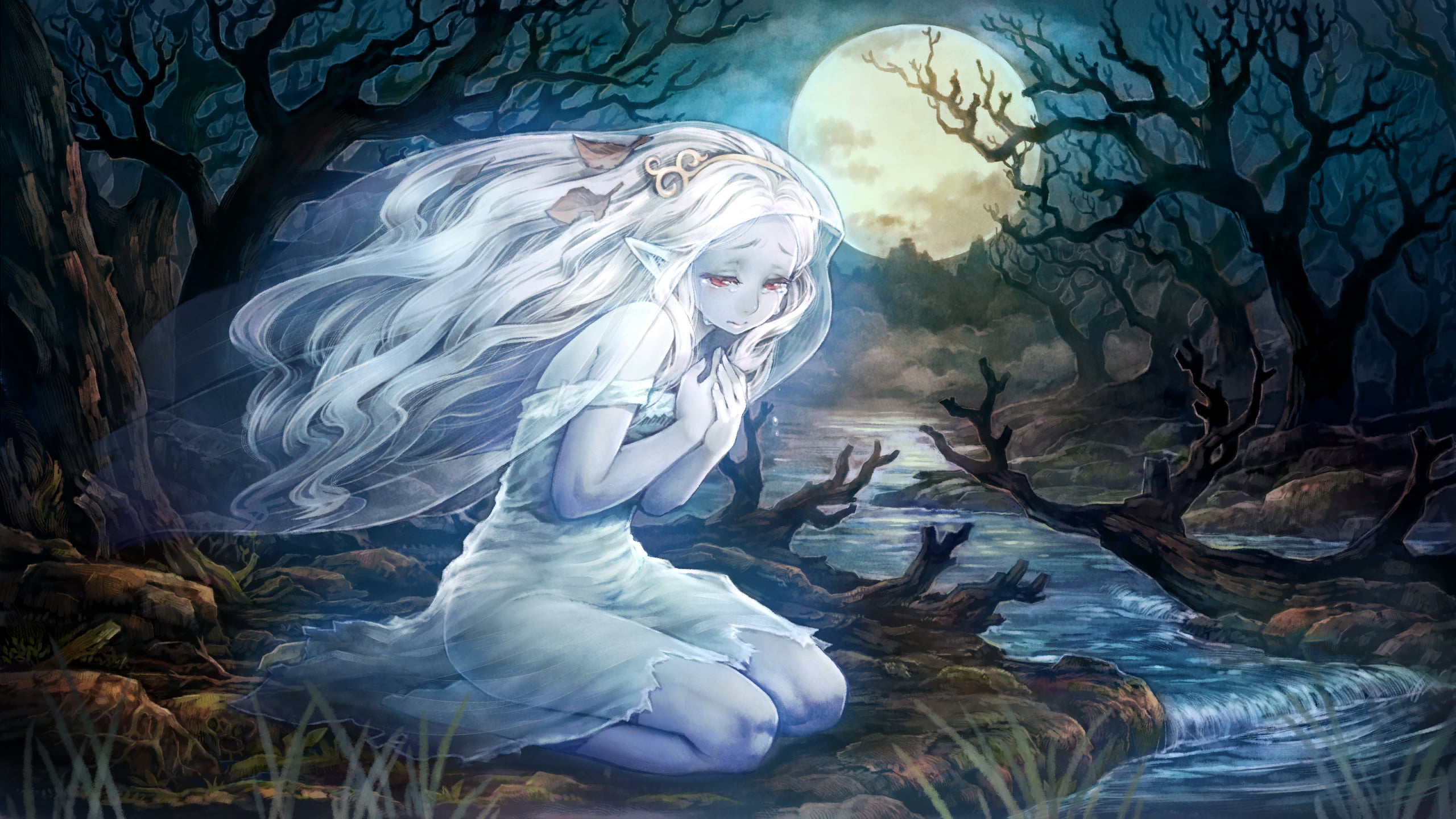 2560x1440 Female anime character illustration, Dragon's Crown, fantasy art, Moon, ghost HD wallpaper