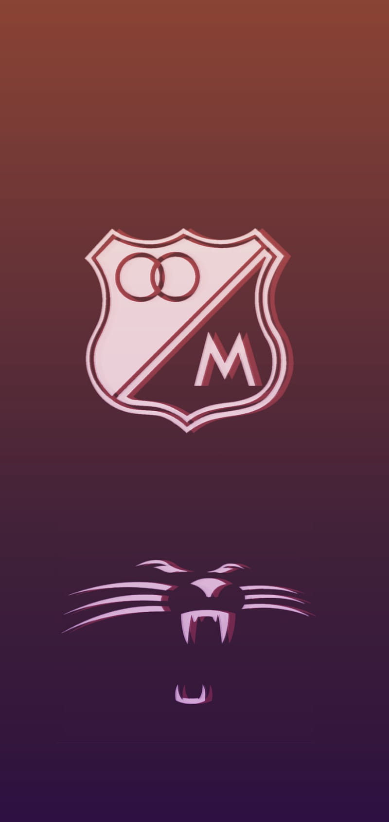 800x1689 Millonarios, embajador, millonarios fc, millonarios, millos, millos fc, millos, HD phone wallpaper