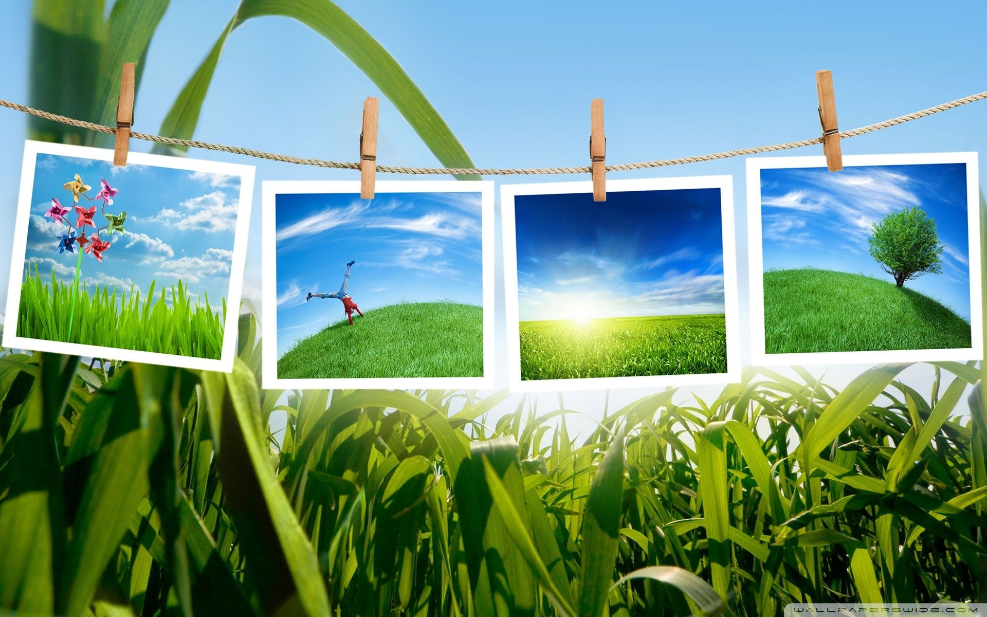 1920x1200 Green Collage 4K UHD Wallpaper for UltraHD Desktop and TV : Widescreen and UltraWide Display : Smartphone and Tablet Devices