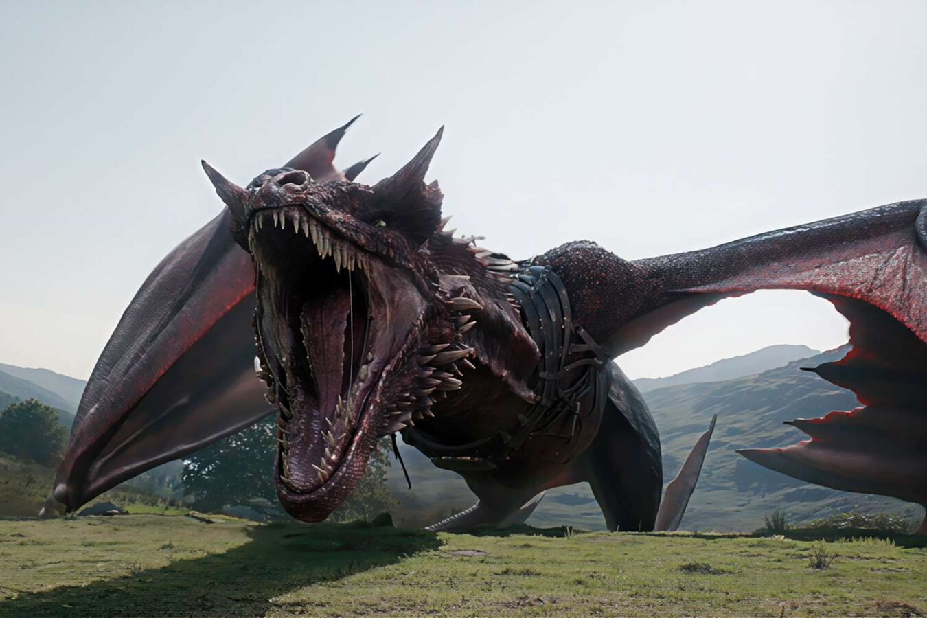1350x900 Game of Thrones' Marks Big Screen Debut With 'Aegon's Conquest' Movie