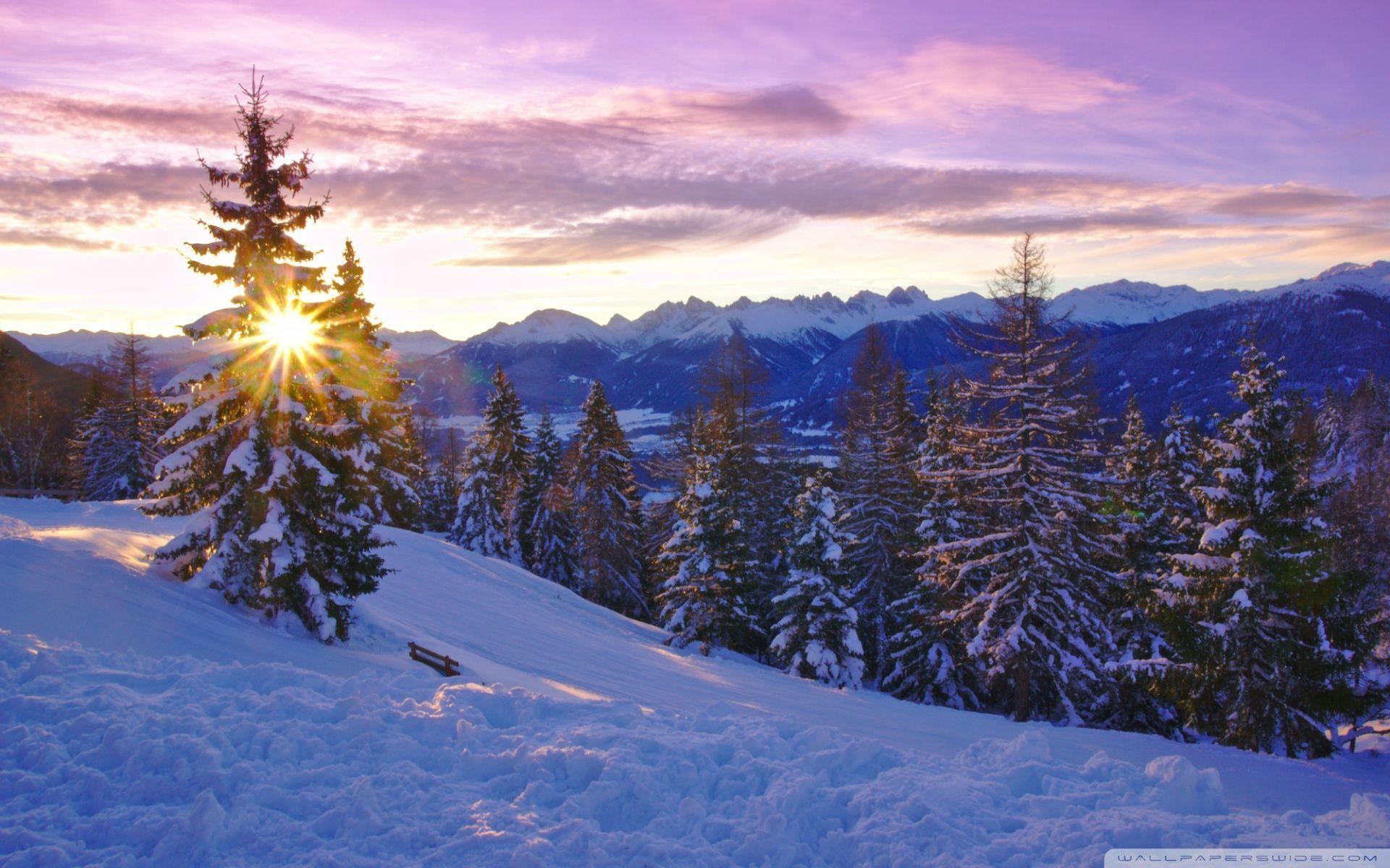 1920x1200 Winter Time Ultra HD Desktop Background Wallpaper for 4K UHD TV