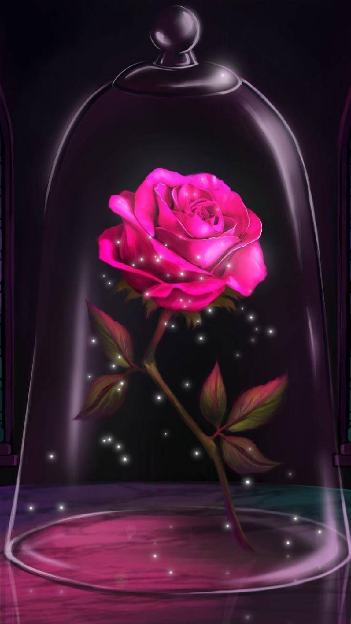 720x1280 Glass Rose wallpaper