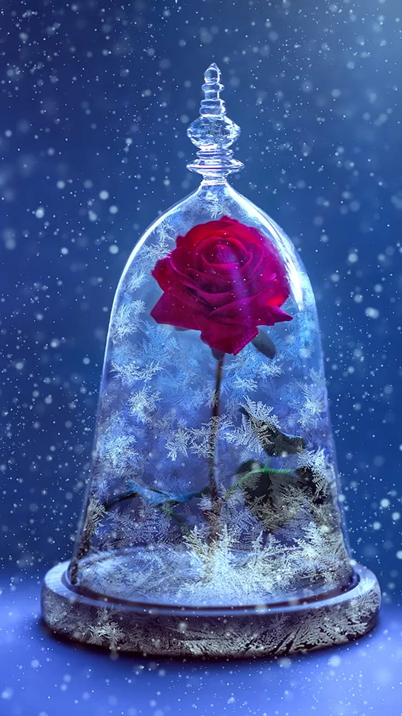 800x1422 HD blue glass rose wallpaper