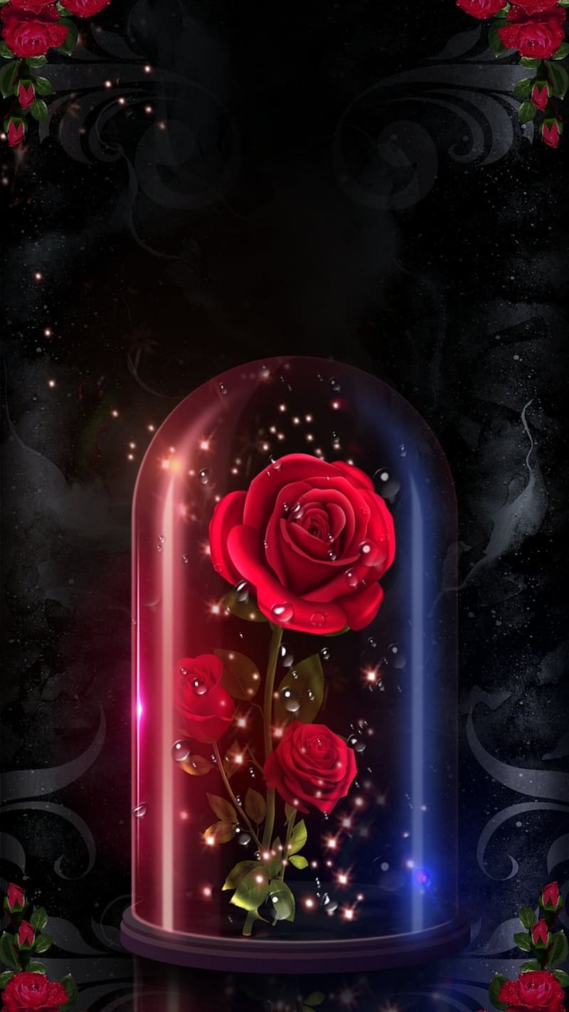 800x1422 HD rose under glass wallpaper