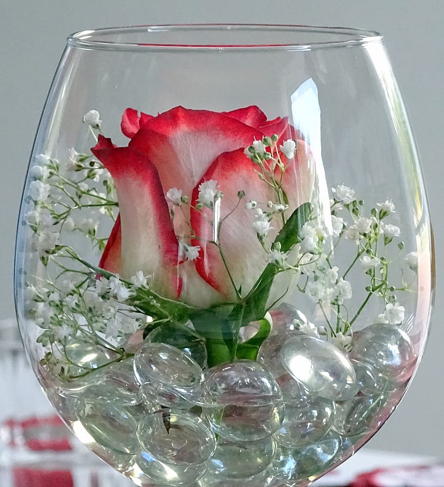 910x998 deco, rose, glass, wine glass, red rose, decorative, love, flower