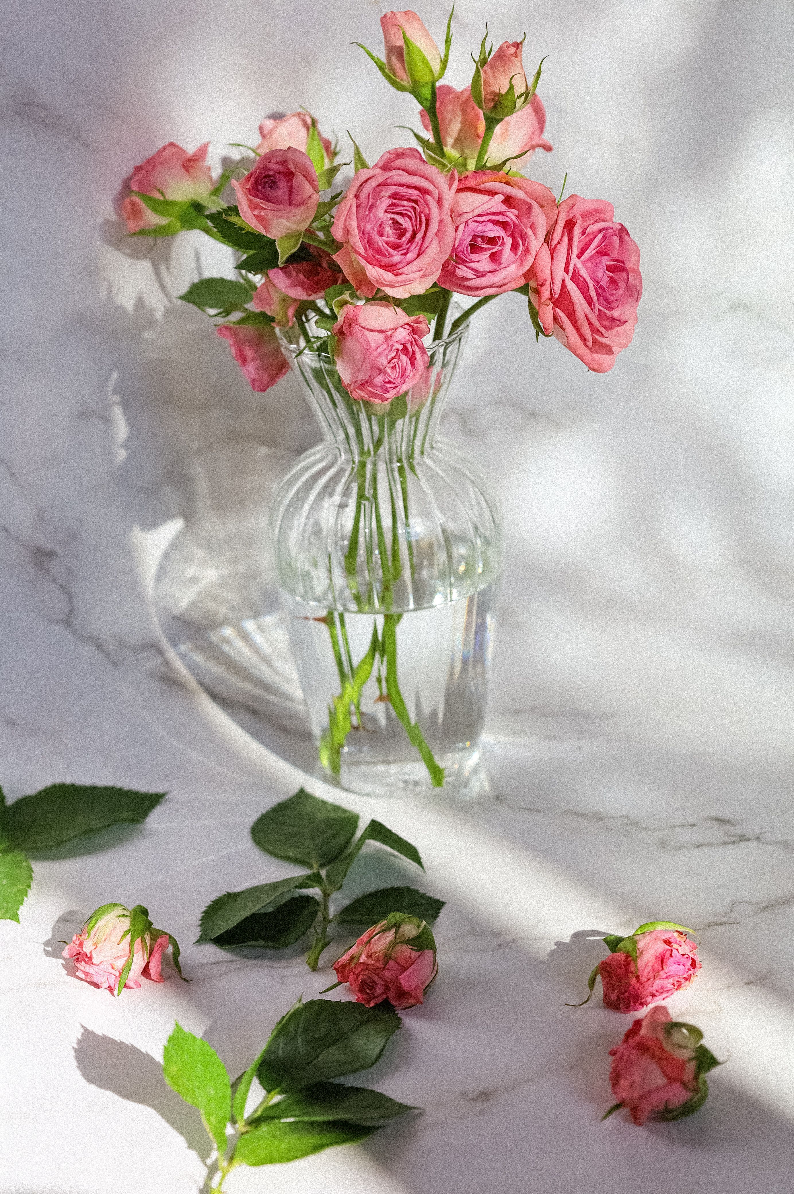 2768x4160 Pink Roses in a Glass Vase · Free