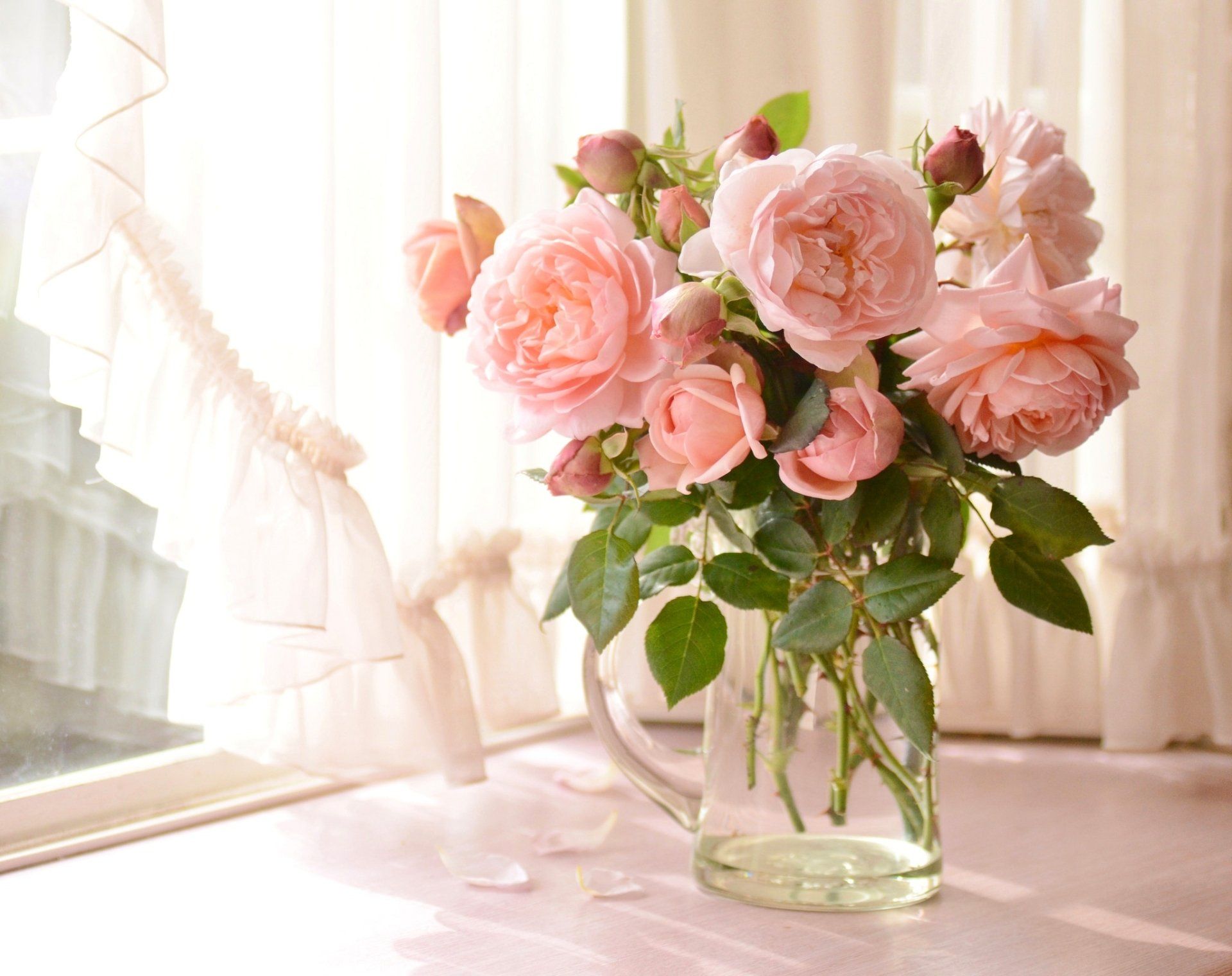 1920x1520 Sunlit Pink Roses & Peonies in Glass Vase