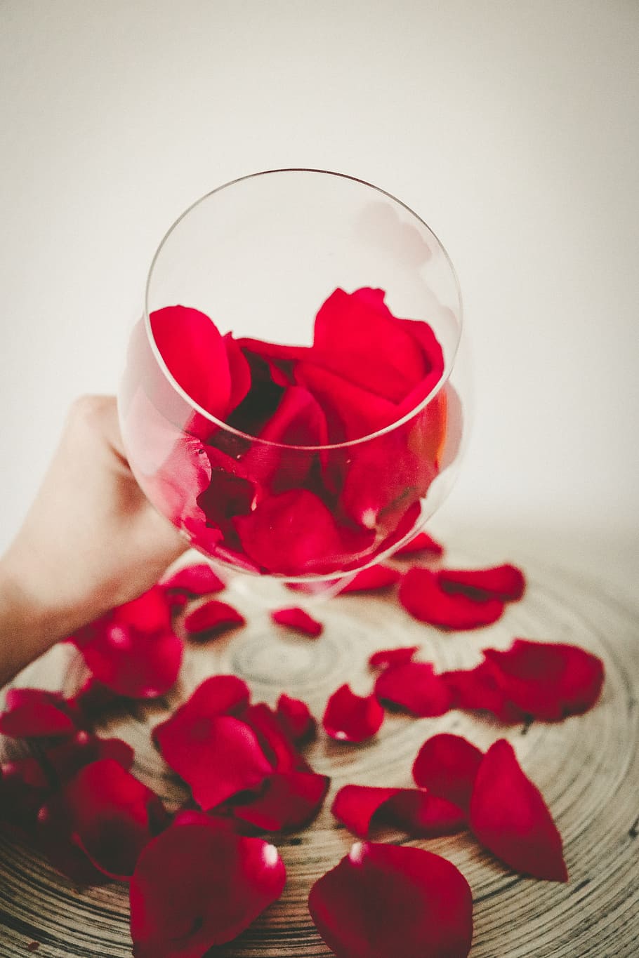 910x1365 HD wallpaper: rose petal on wine glass, petals, floral, blossom, rose petals