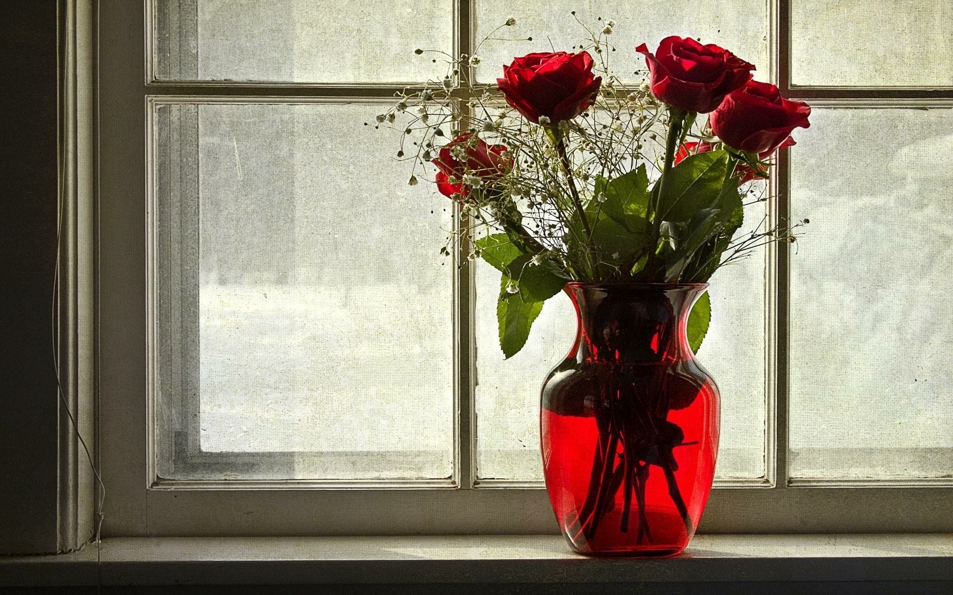 1920x1200 Vibrant Red Roses in Elegant Vase
