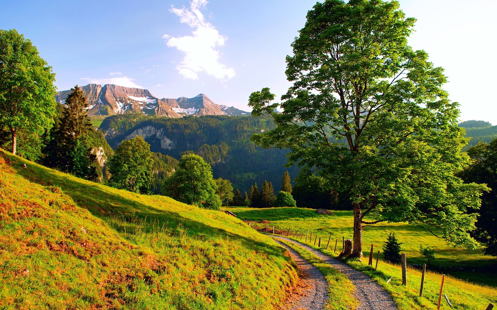 1920x1200 Wallpaper Switzerland, summer landscape, mountains, road, trees 1920x1200 Picture, Image