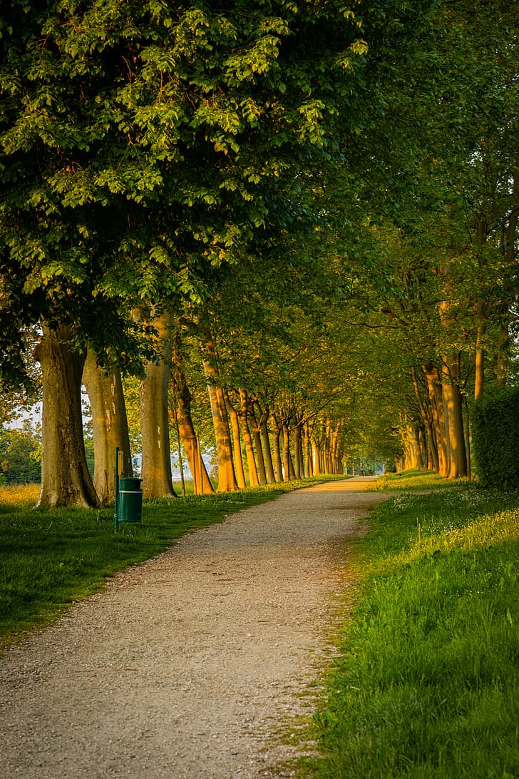 728x1092 HD wallpaper: photography, outdoors, Switzerland, trees, greenery, nature