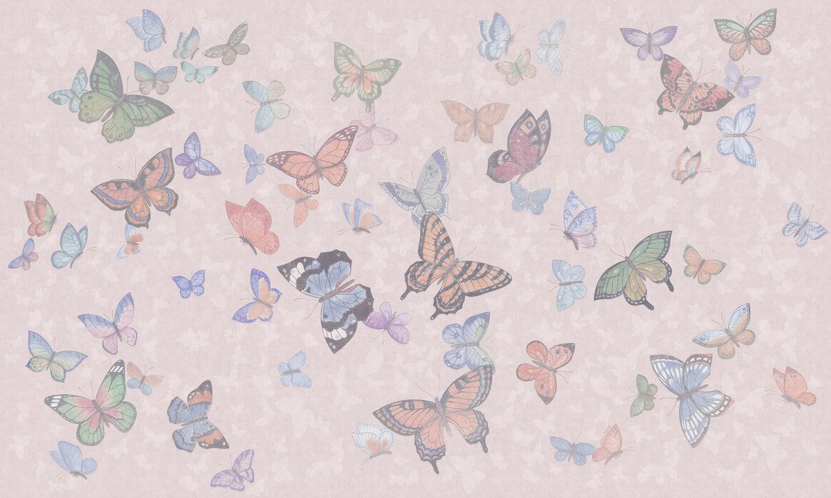 1165x699 Butterfly Wings