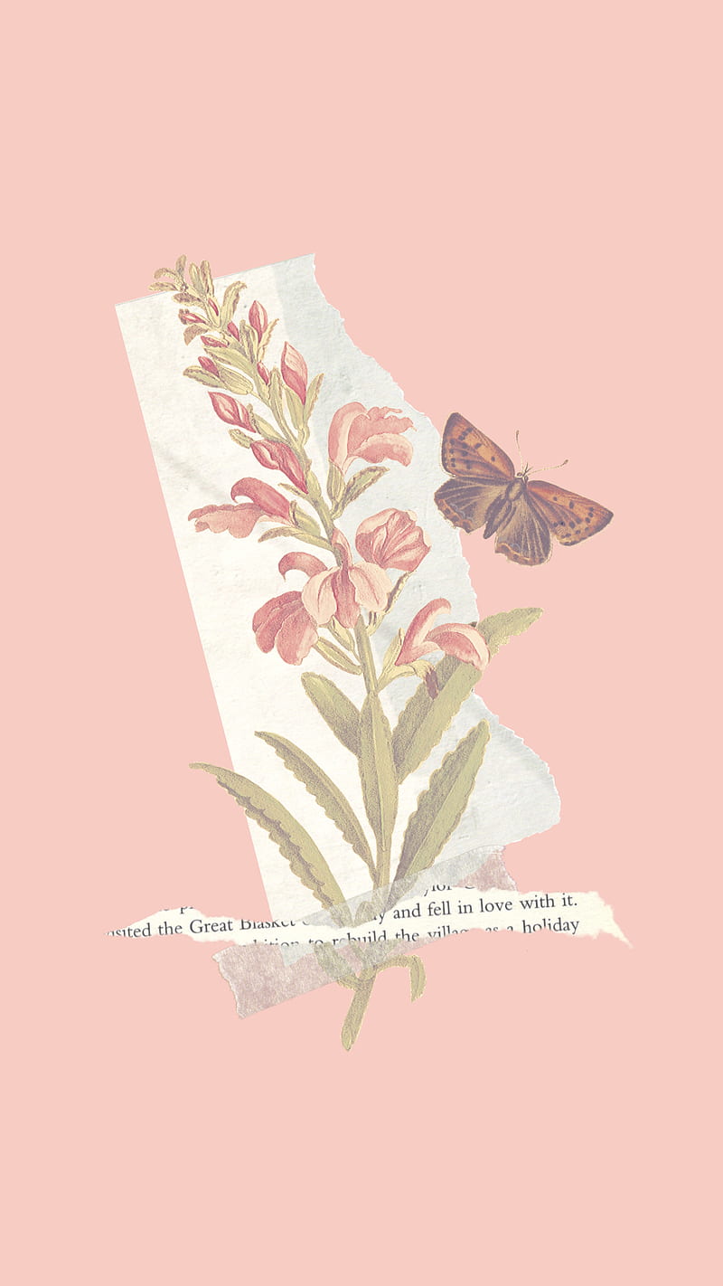 800x1422 Aesthetic Butterfly, flowers, girly, pink, HD phone wallpaper