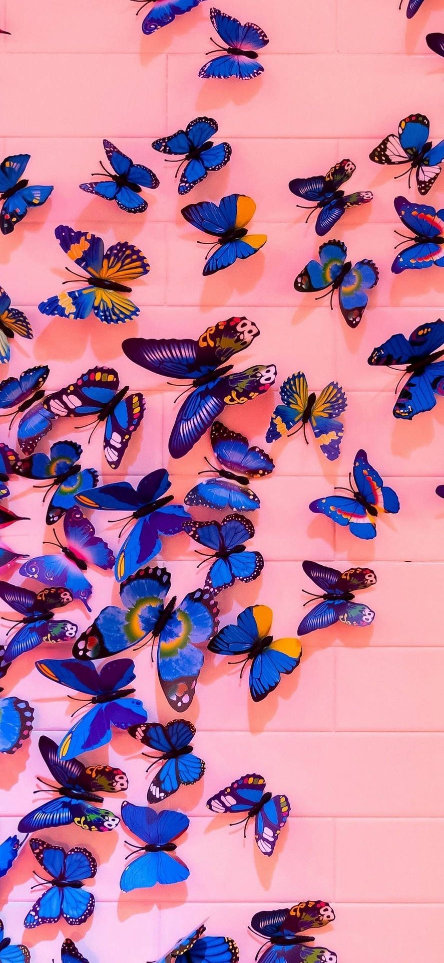 887x1920 Blue And Pink Butterfly Aesthetic Wallpaper