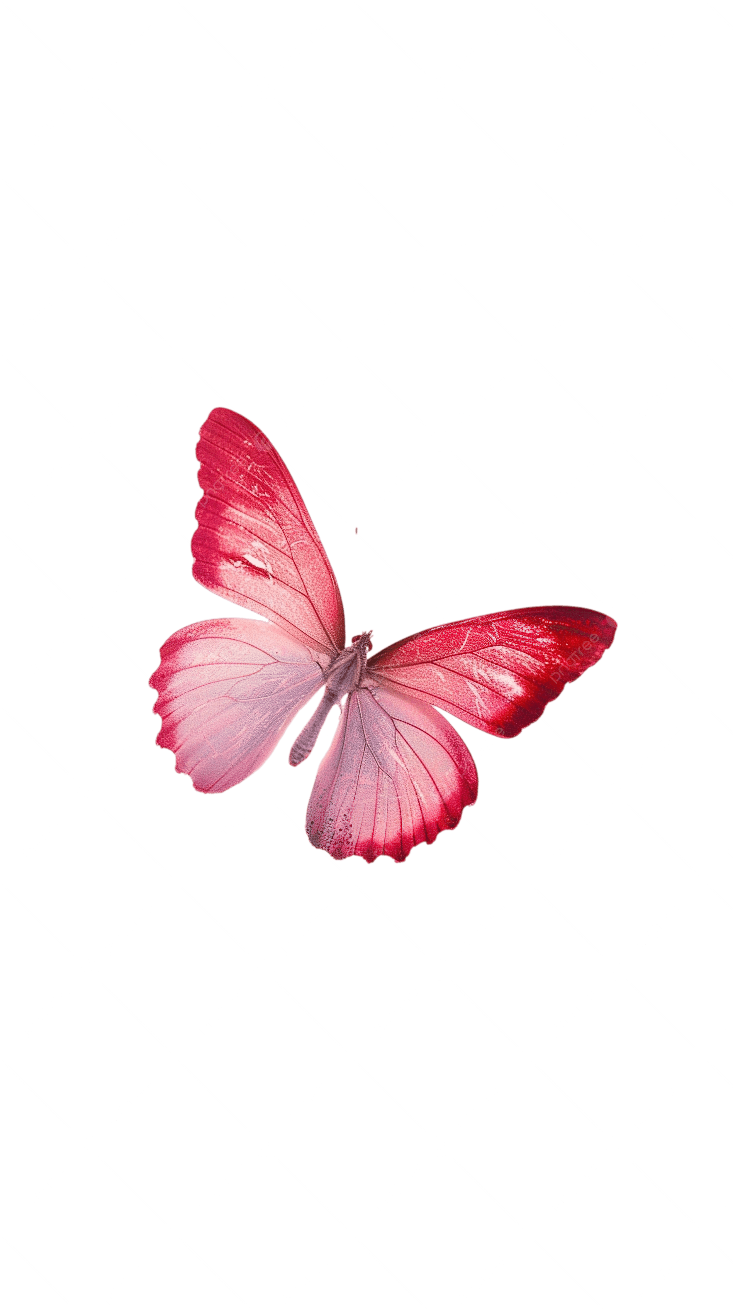 2500x4461 Pink Aesthetic Butterfly, Butterfly, Beautiful, Aesthetic PNG Transparent Image and Clipart for Free Download