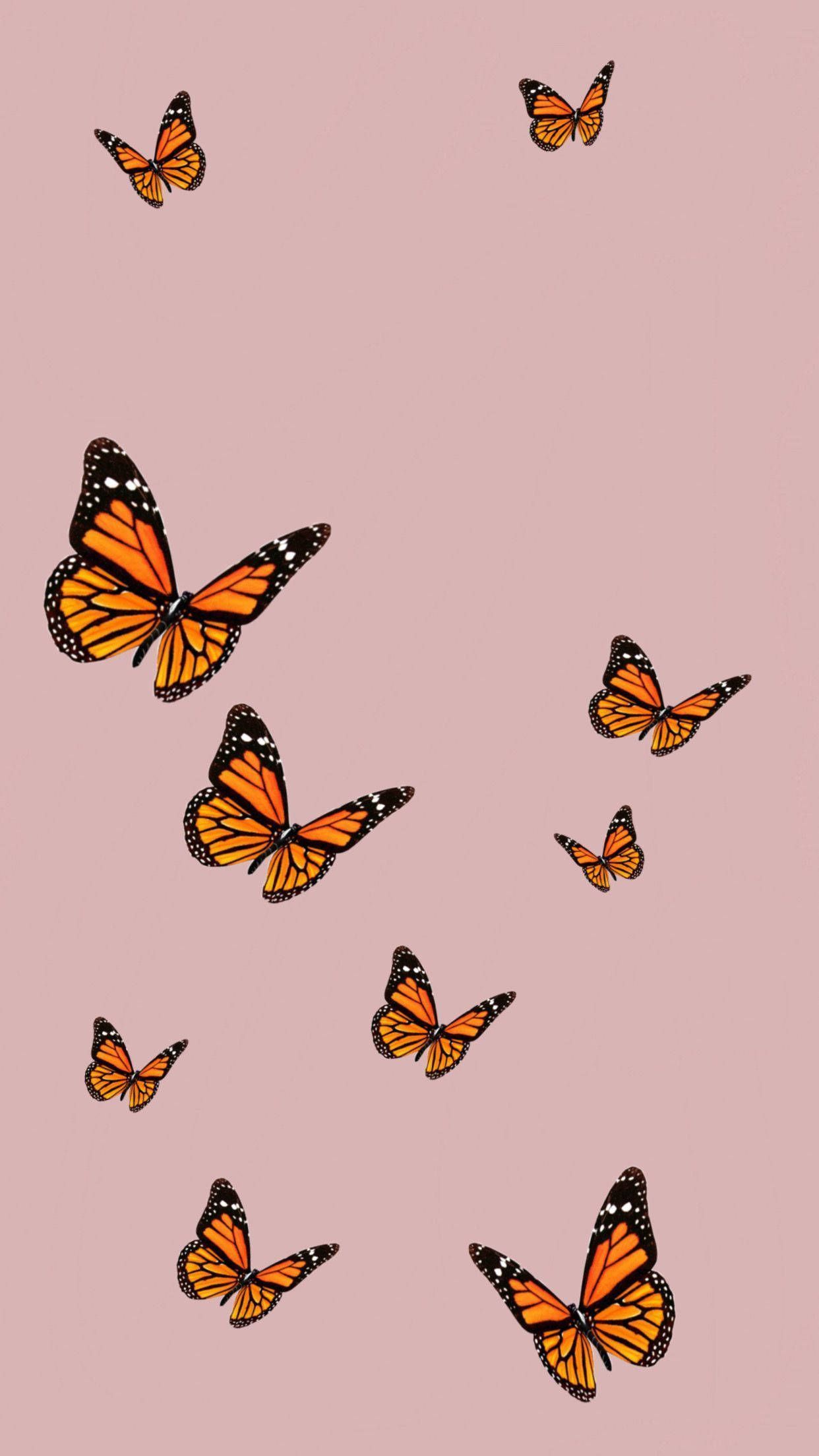 1242x2208 