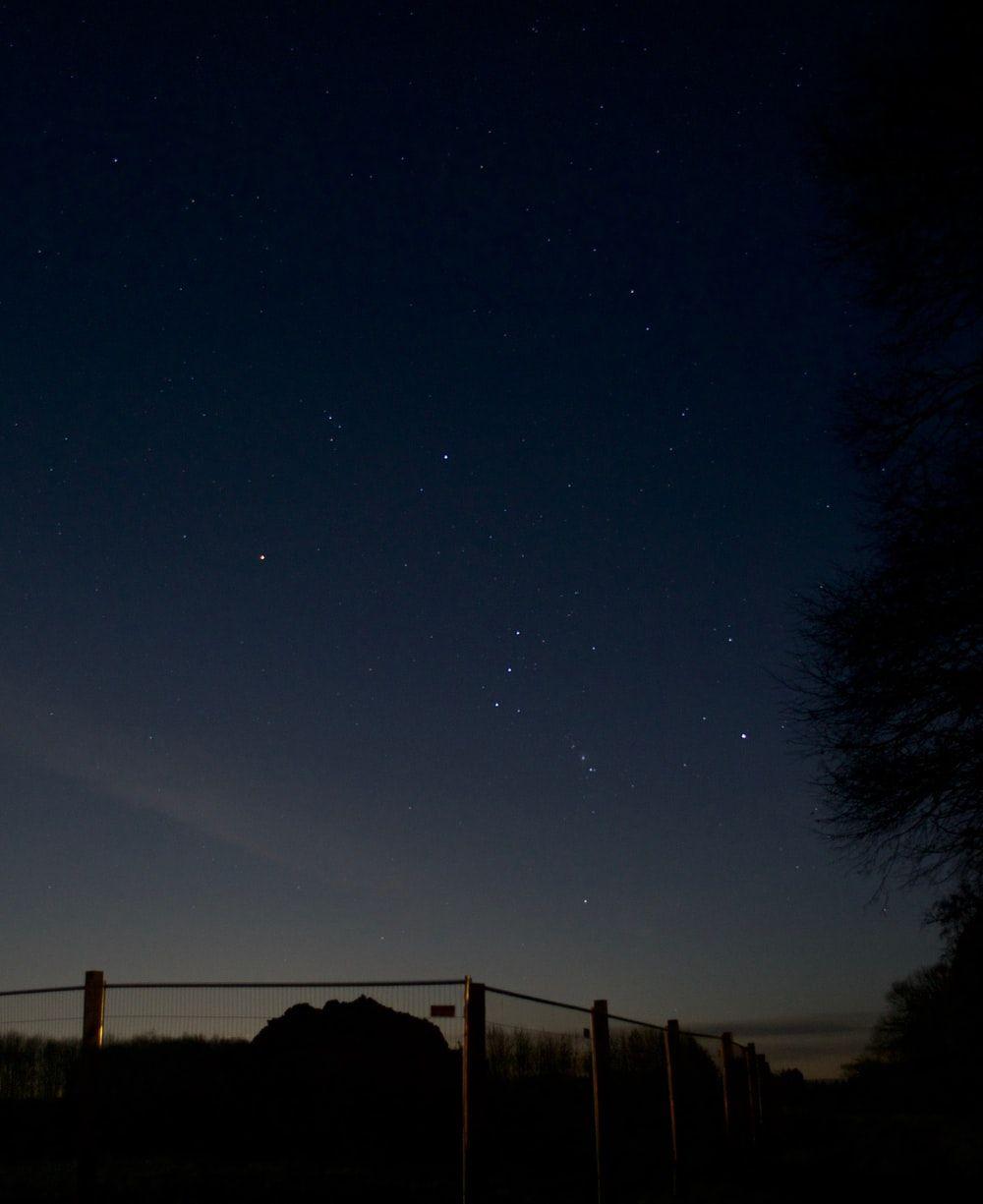 1000x1225 Orion Constellation Picture. Download Free Image