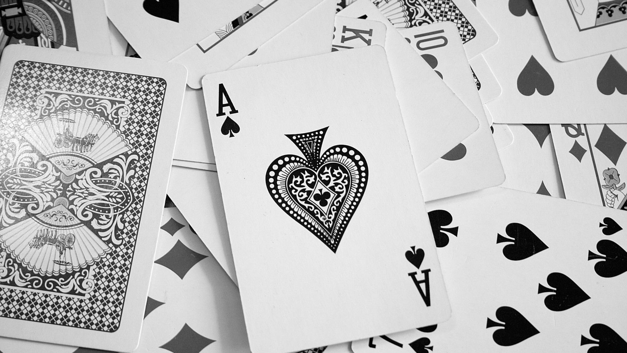 2048x1152 Rummy Wallpaper