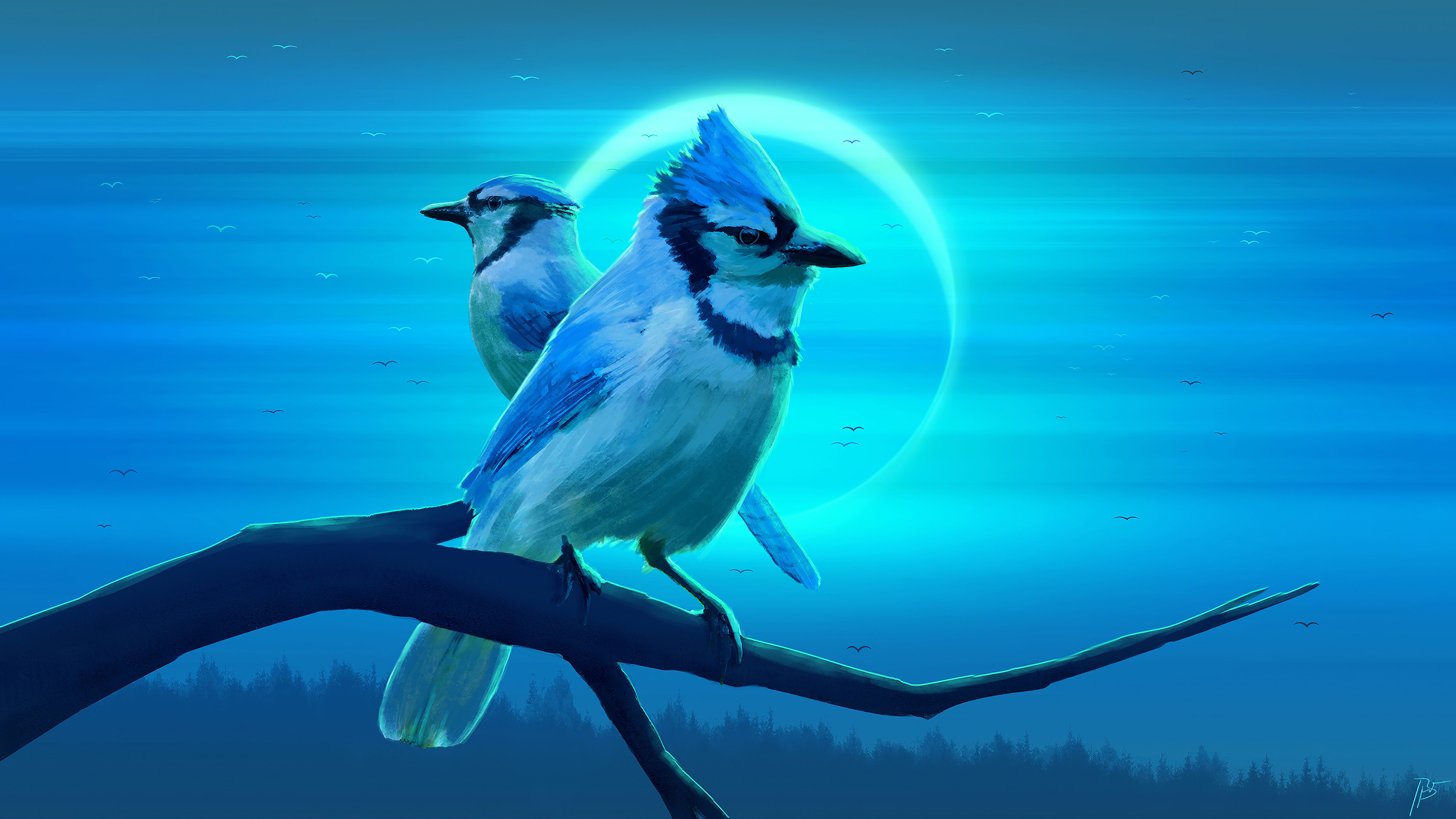 5120x2880 5K Ultra HD Blue Jay Duo