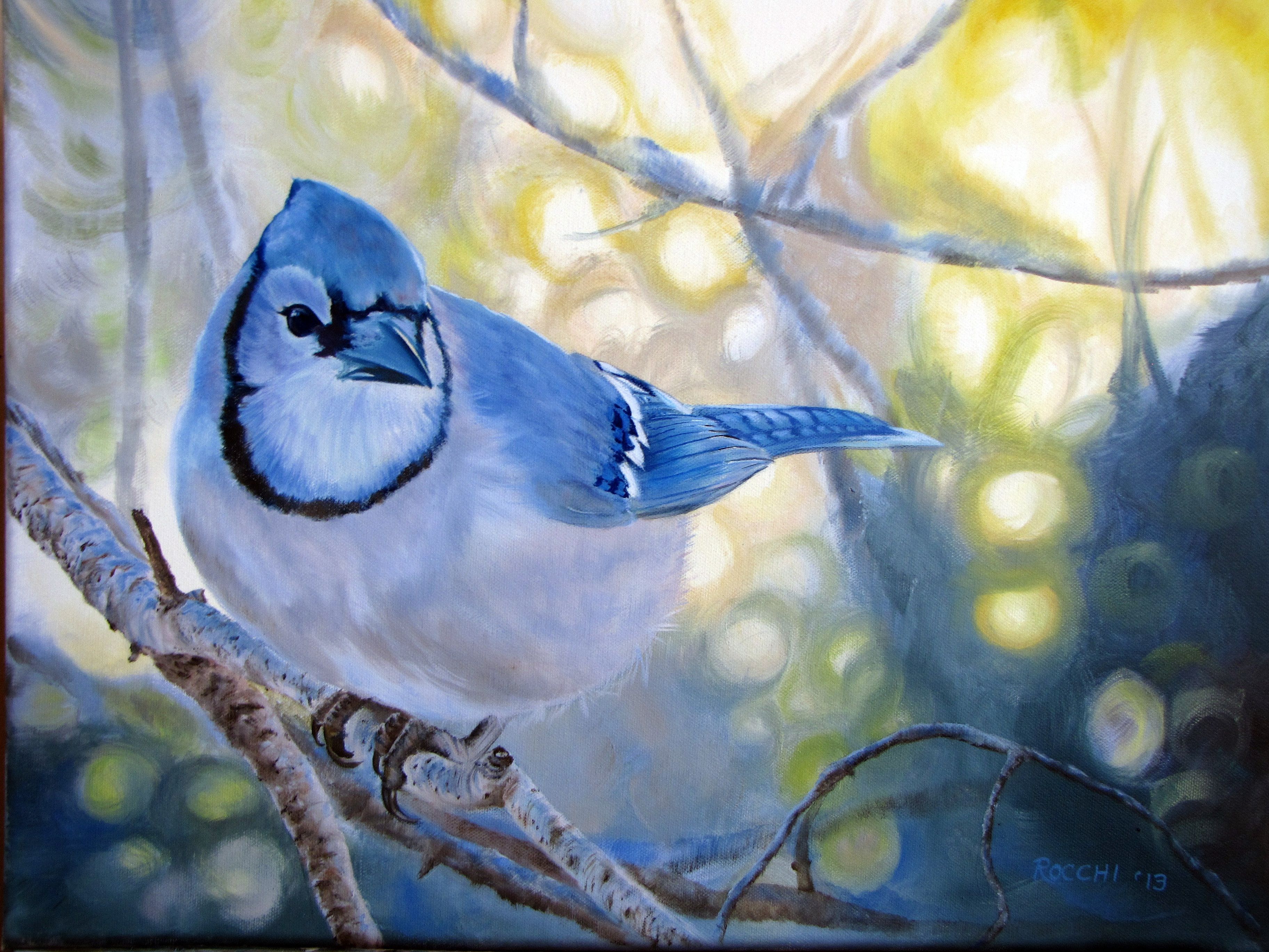 3650x2738 Phone wallpaper: Blue Jay, Animal, Birds 349792
