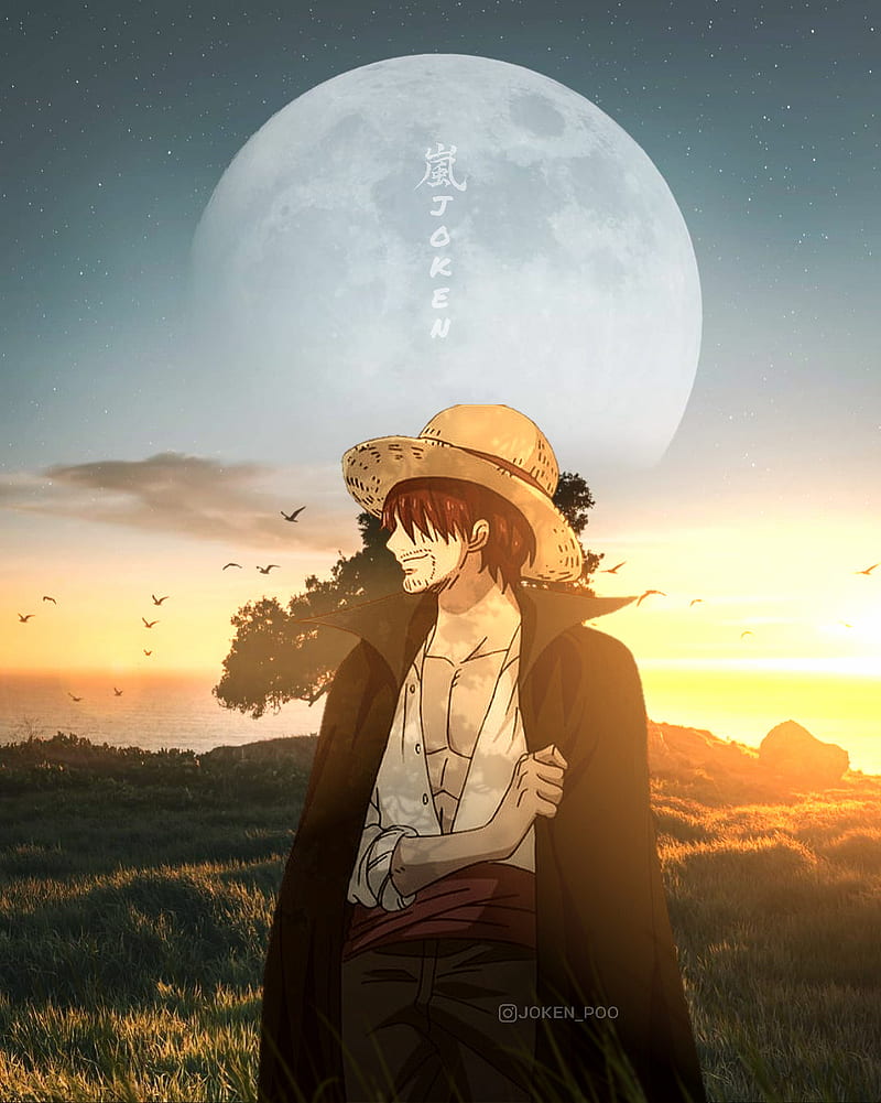 800x1001 One piece, aesthetic, anime, japan, japanese, luffy, one piece, one piece, roronoa zoro, HD phone wallpaper