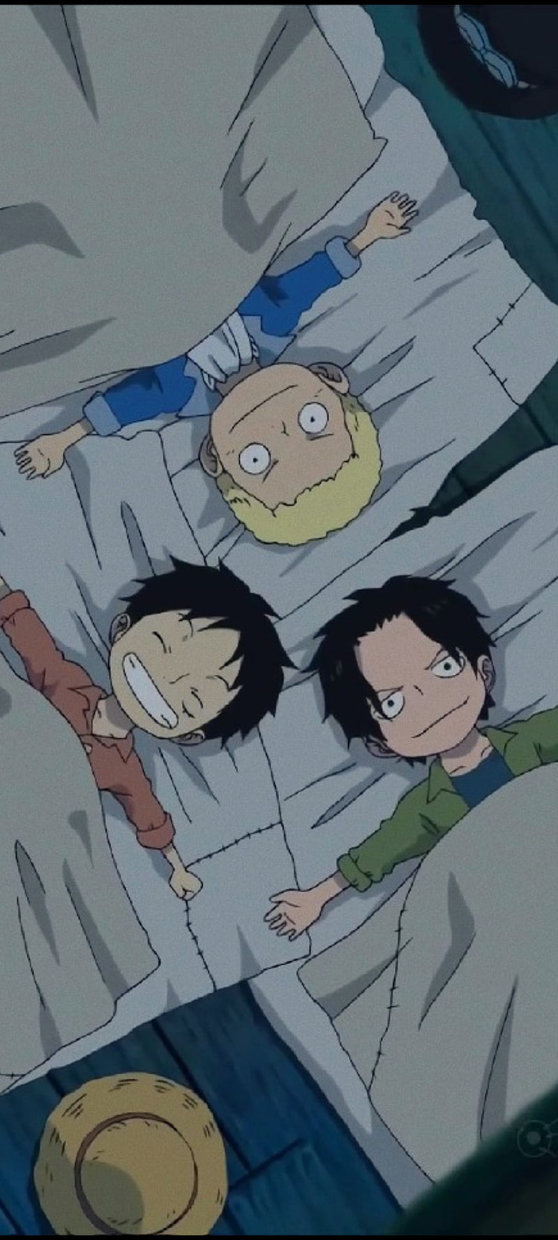 800x1778 One piece brothers, anime, fire fist ace, luffy, one piece aesthetic, portgas d ace, HD phone wallpaper