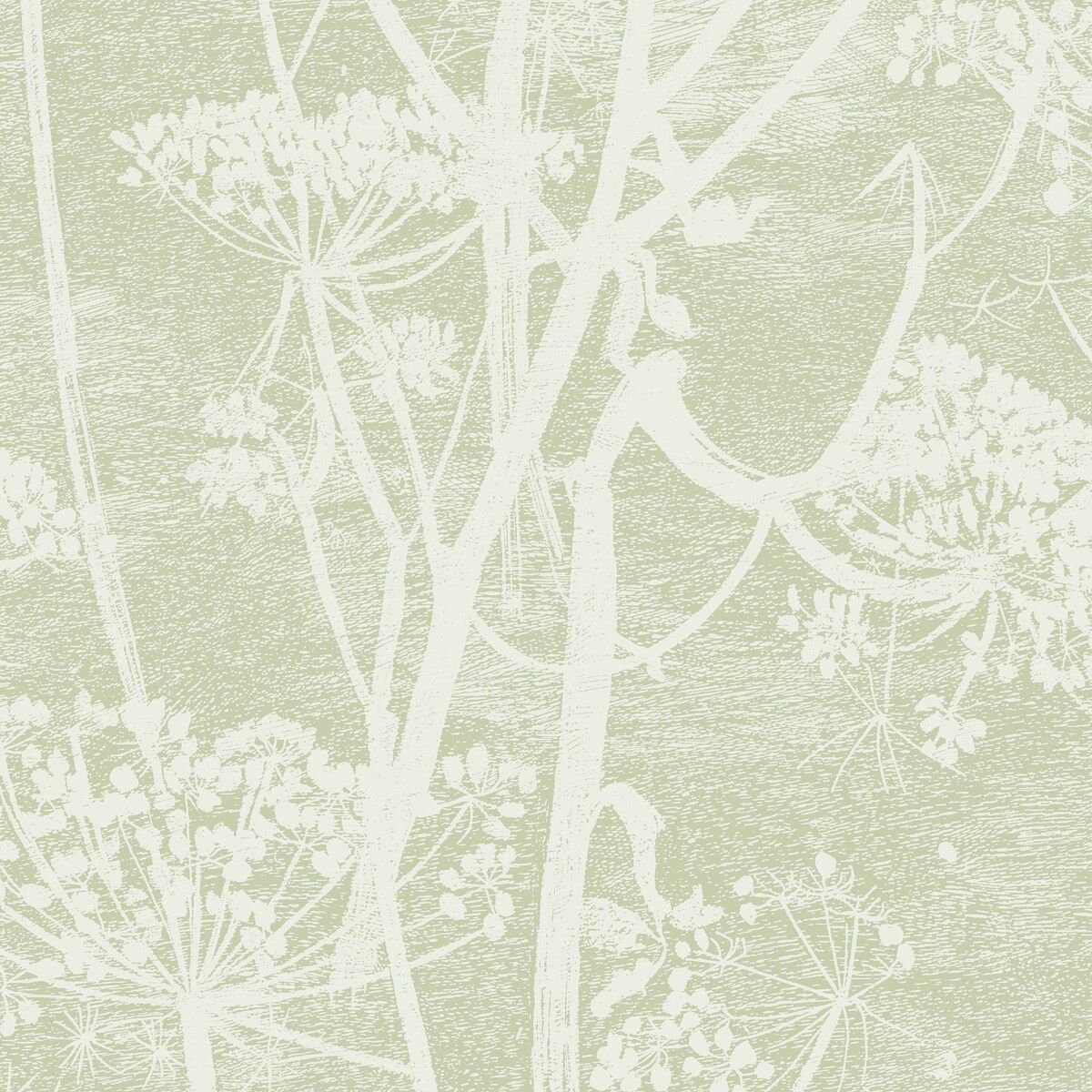 1200x1200 Cow Parsley Icon Wallpaper & Son