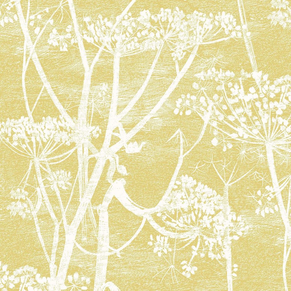 1000x1000 Cow Parsley Wallpaper & Son Sample / White & Chartreuse