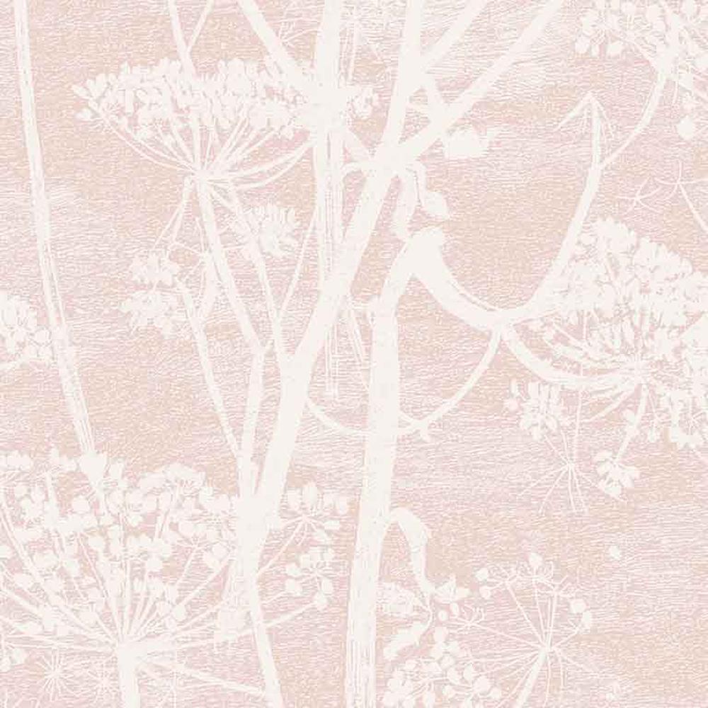 1000x1000 Cow Parsley. Wallpaper