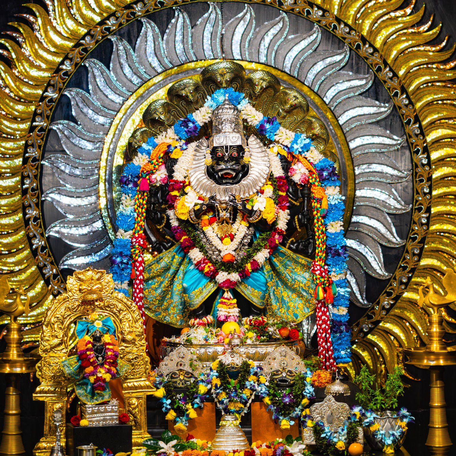 1600x1600 Sri Mayapur Photo Gallery
