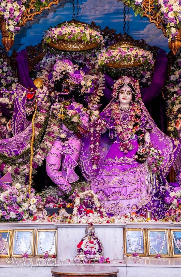 736x1127 Sri Sri Radha Madhava Idol Displayed with Flowers and Garlands. Radha krishna mayapur wallpaper, Iskcon