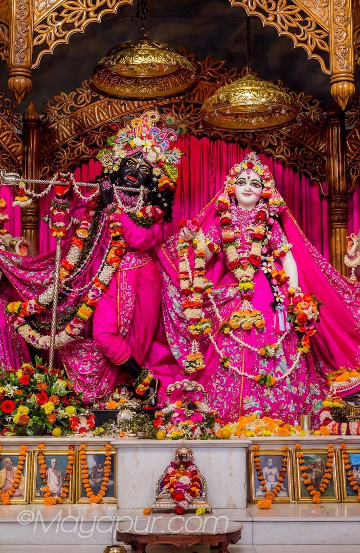 736x1128 Radha krishna wallpaper iskon temple. Iskcon krishna, Radha krishna holi, Radhe krishna wallpaper