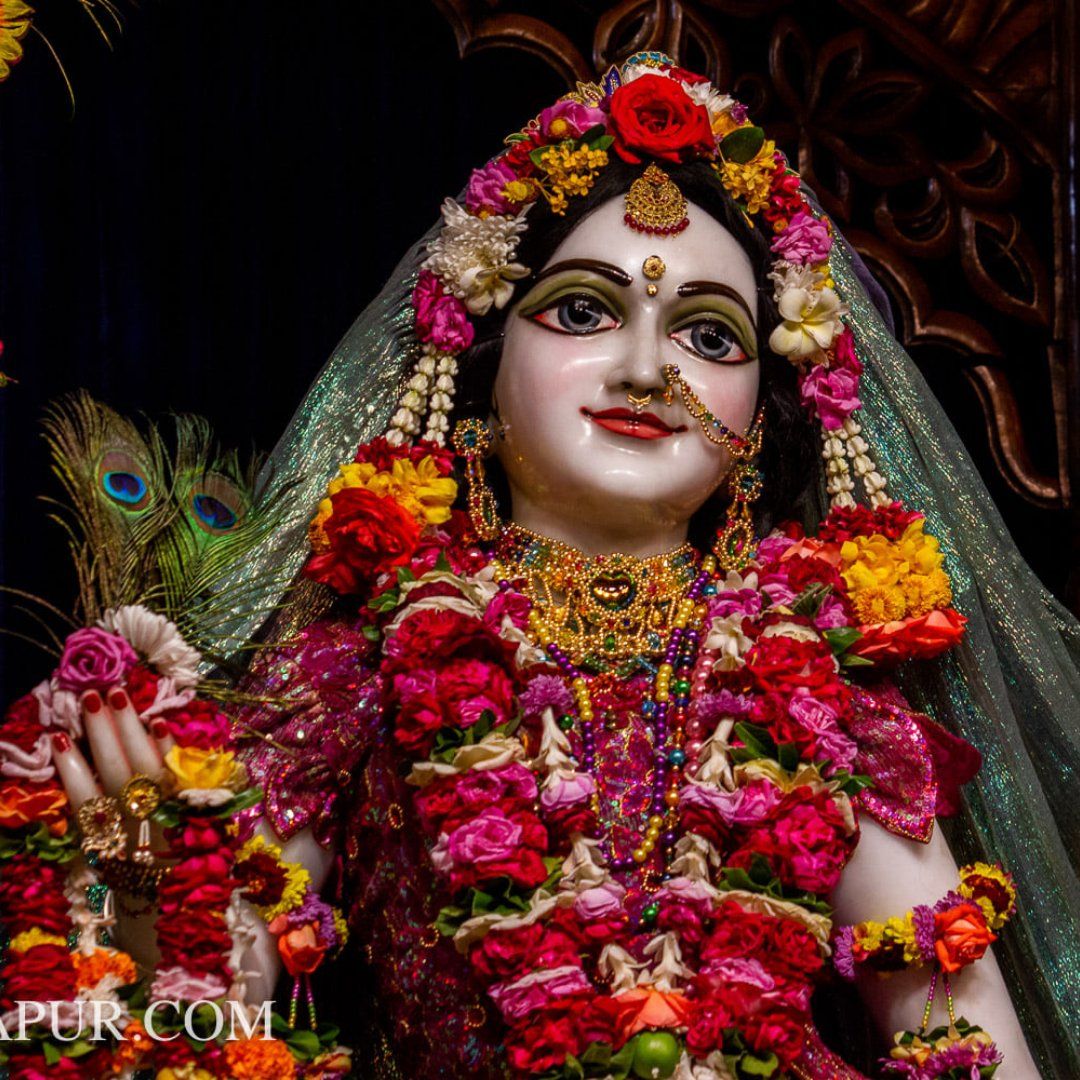 1080x1080 Festival Darshan: Sri Sri Radha Madhav at ISKCON Mayapur! #iskcon #festival #krishna #selftransformation