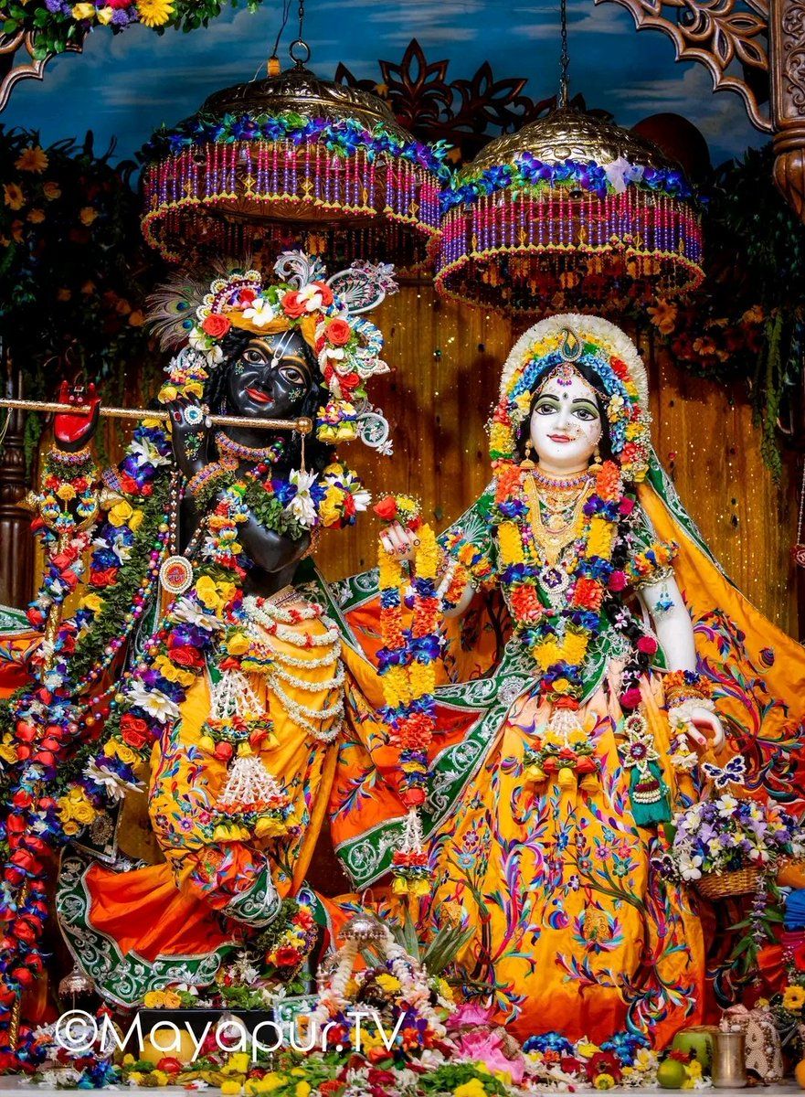 881x1200 Today's Radhaashtami Special Darshan Iskcon Mayapur