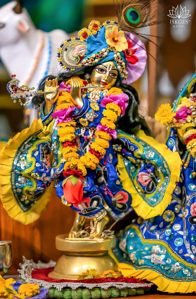 800x1217 God Krishna, creator of everything, main of hindus, HD phone wallpaper