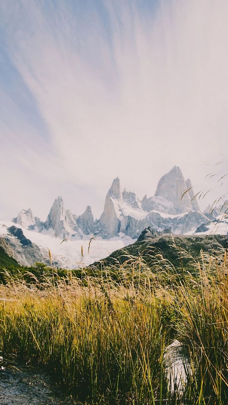 800x1422 Realme C21y, Snow Mountains, green grass, HD phone wallpaper