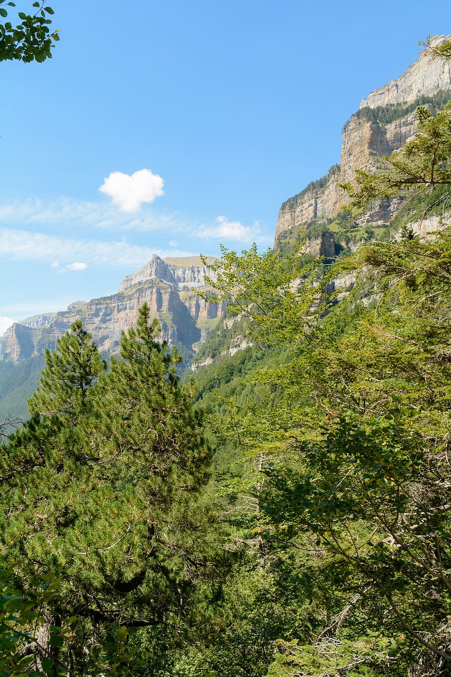 910x1365 Monte perdido 1080P, 2K, 4K, 5K HD wallpaper free download