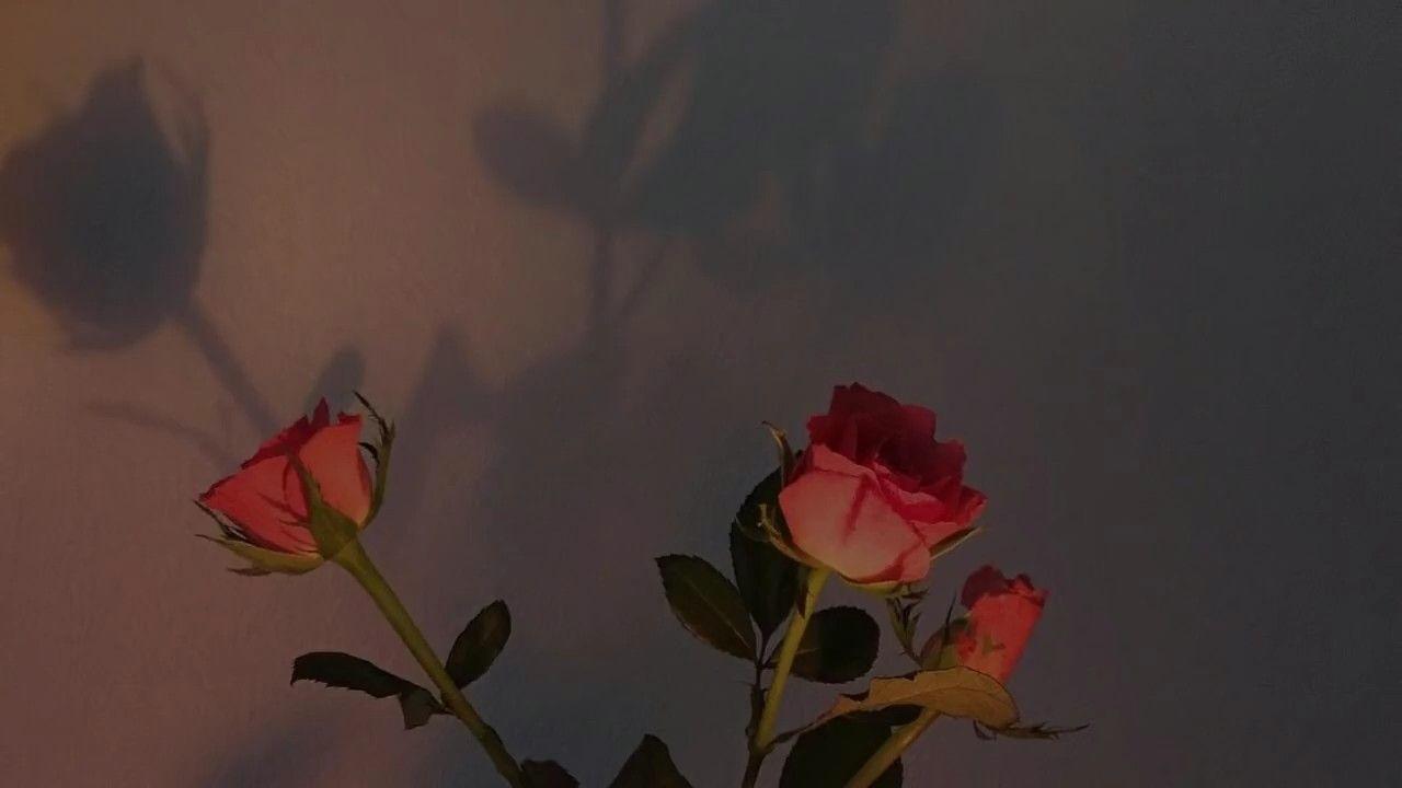 1280x720 Liam payne. Aesthetic desktop wallpaper, Rose wallpaper, Wallpaper pc