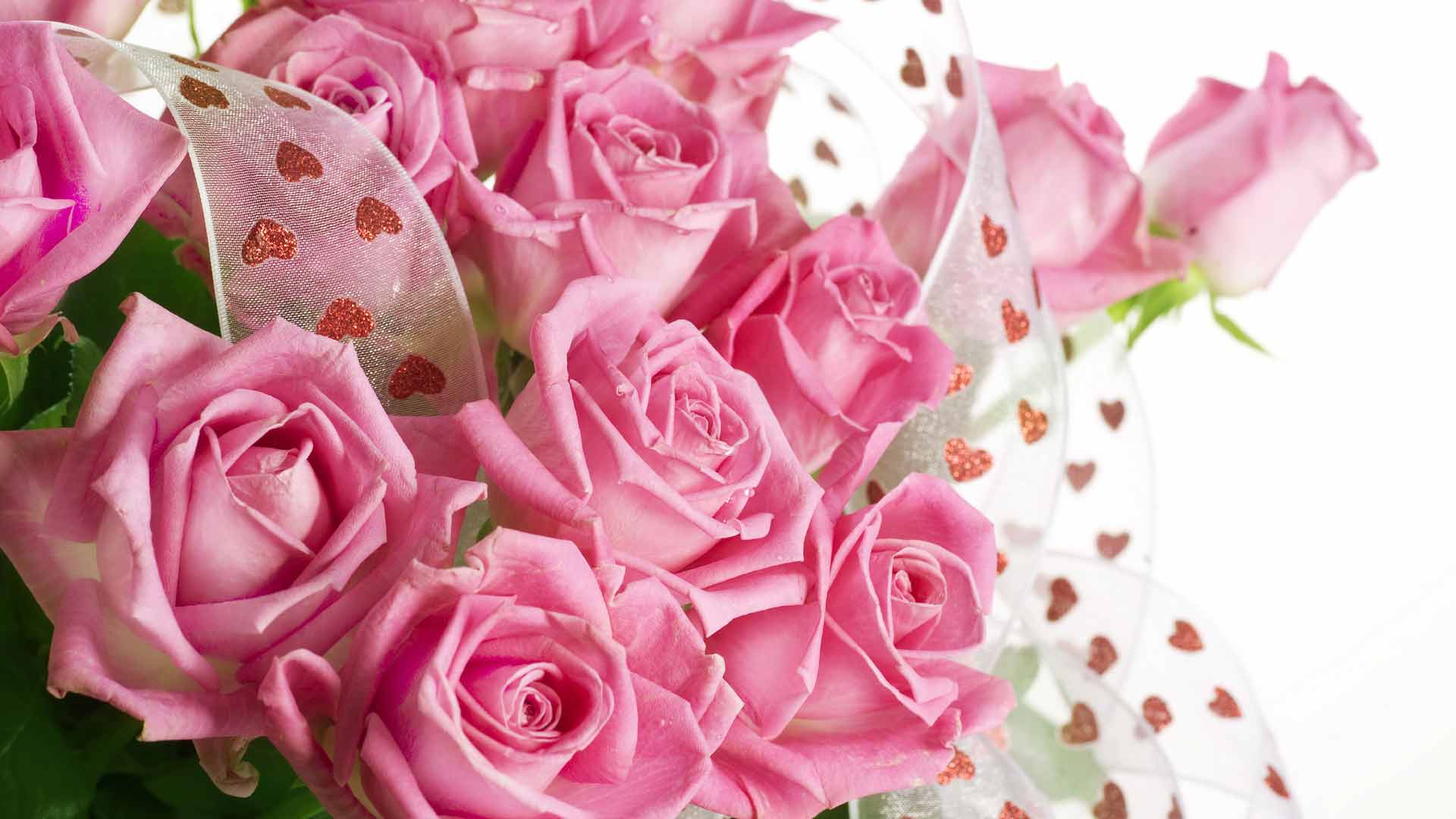 1920x1080 Red Rose Desktop Background Wallpaper HD