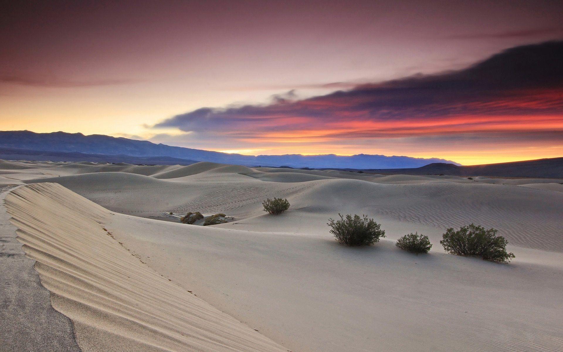 1920x1200 Gorgeous Desert & Pink Sunset wallpaper. Gorgeous Desert & Pink
