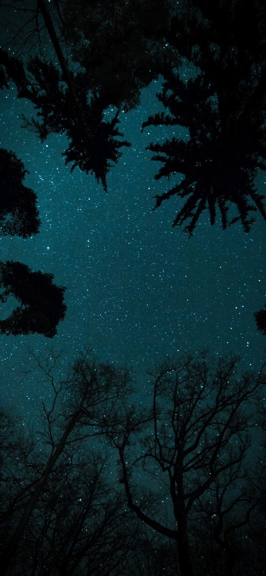 869x1882 Stars Wallpaper art: Free HD Download