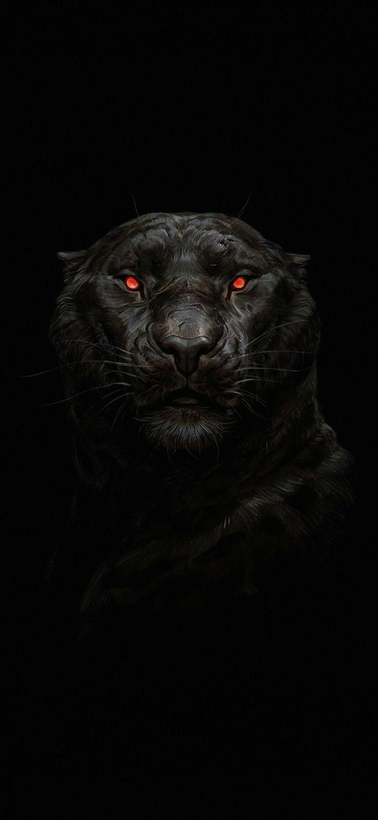 736x1593 iPhone Wallpaper. Black, Felidae, Big cats, Snout, Darkness, Whiskers
