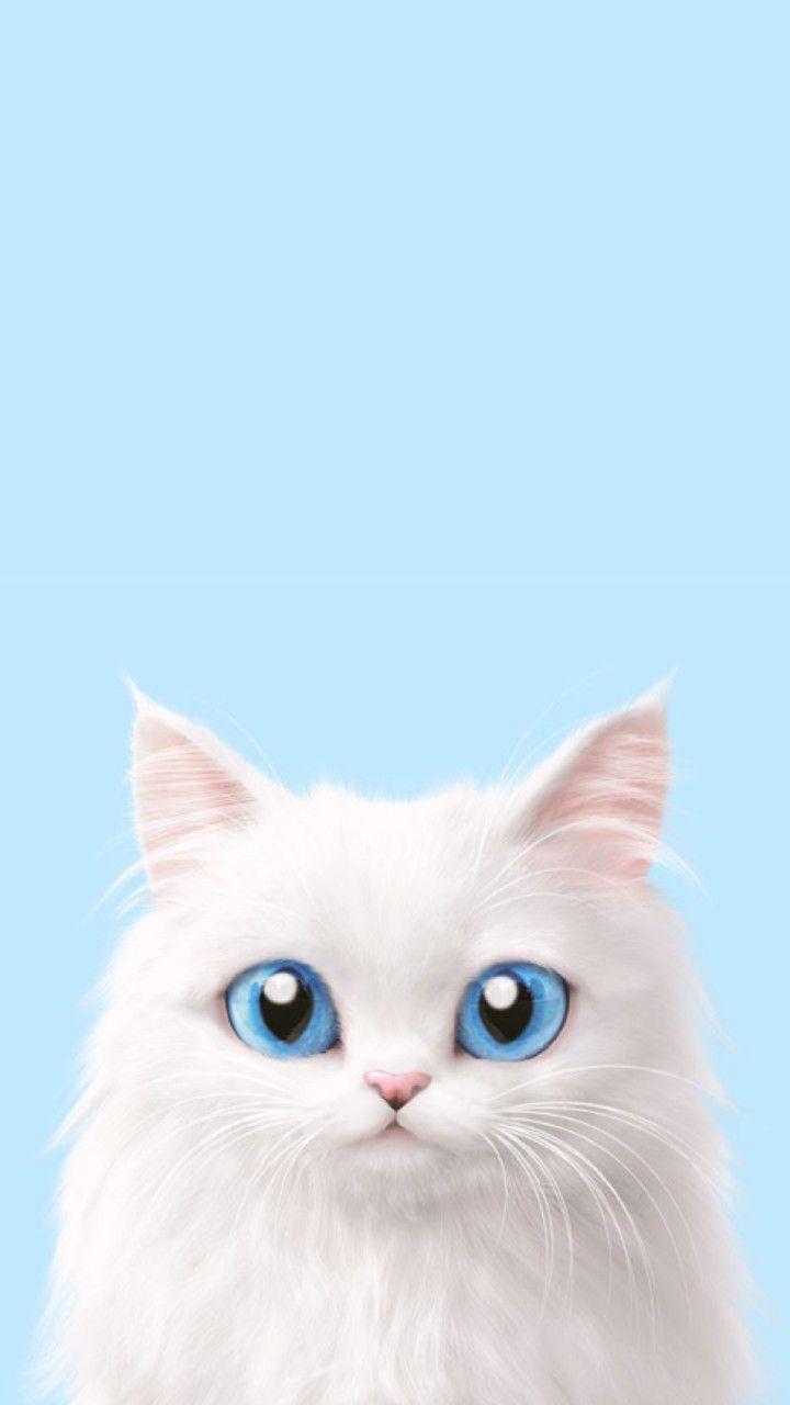720x1280 IPhone Wallpaper. Cat, Small To Medium Sized Cats, Mammal