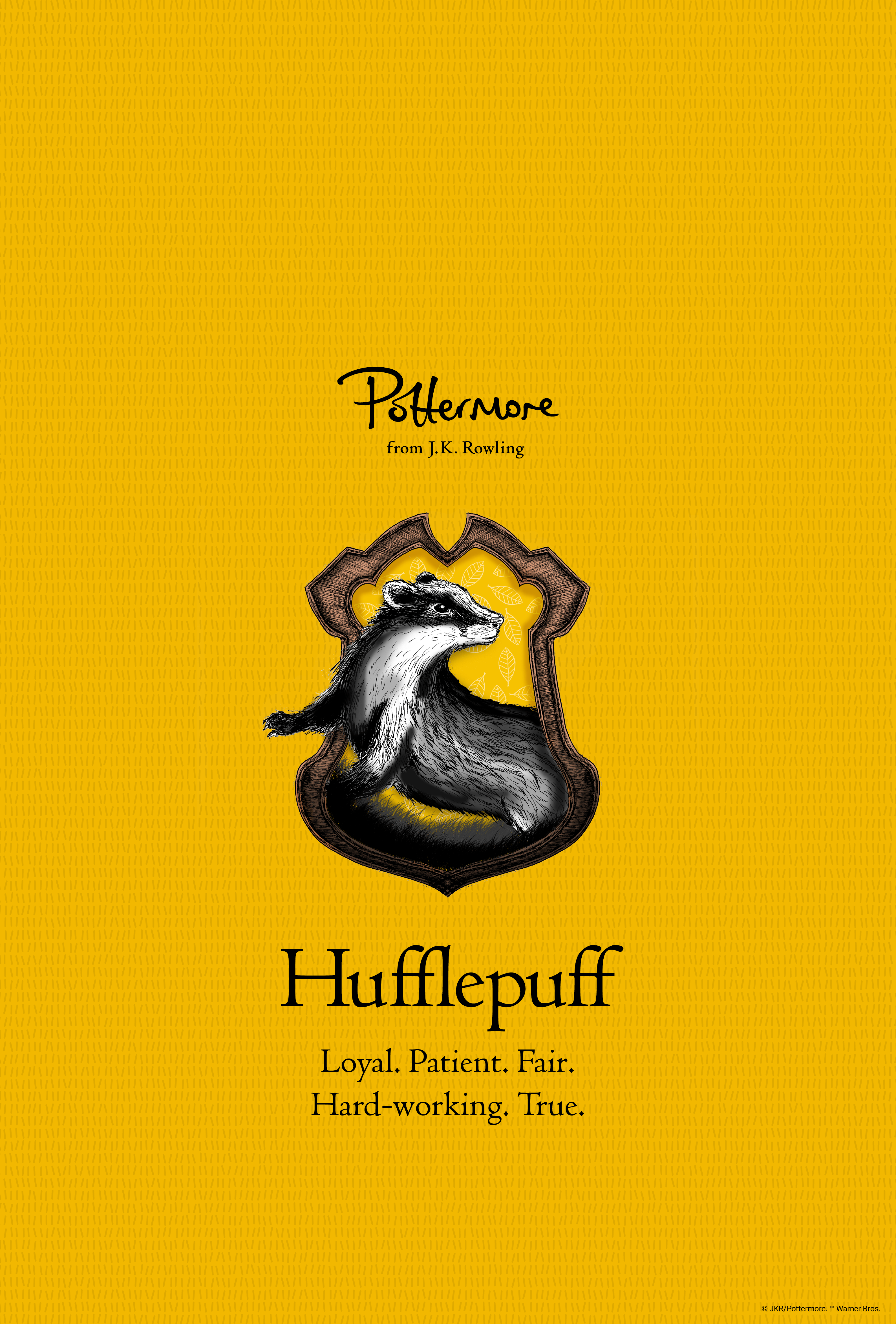 3178x4693 Quidditch Wallpaper