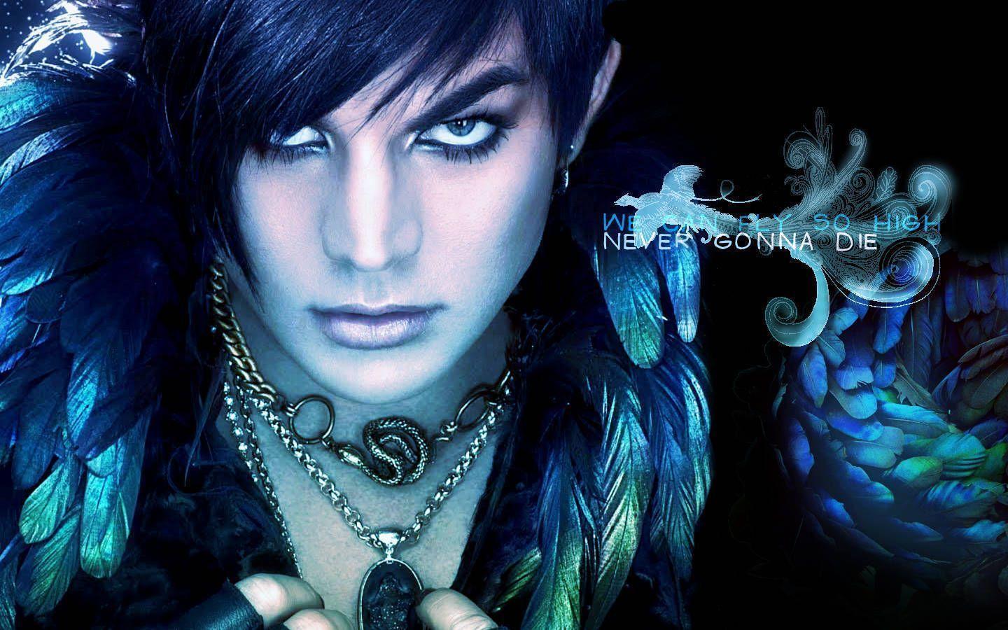 1440x900 Adam Lambert Wallpaper
