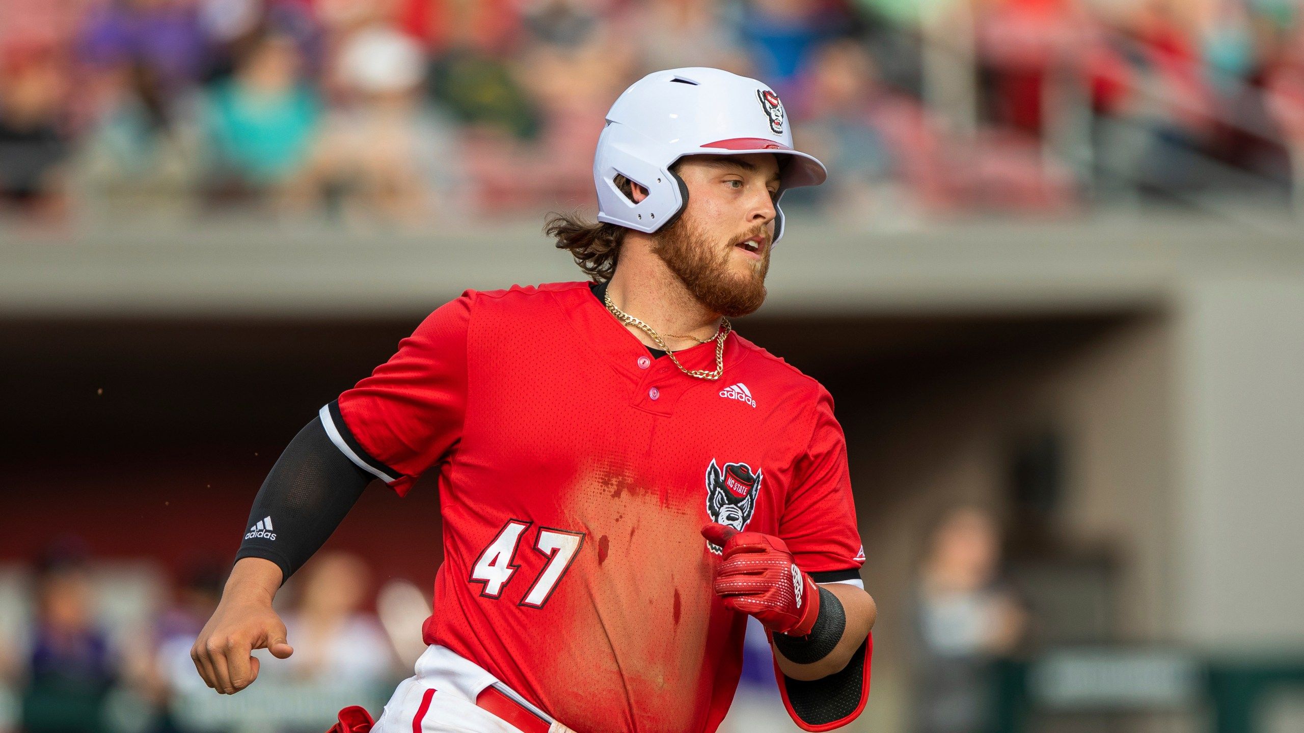 2560x1440 NC State slugger Tommy White enters transfer portal