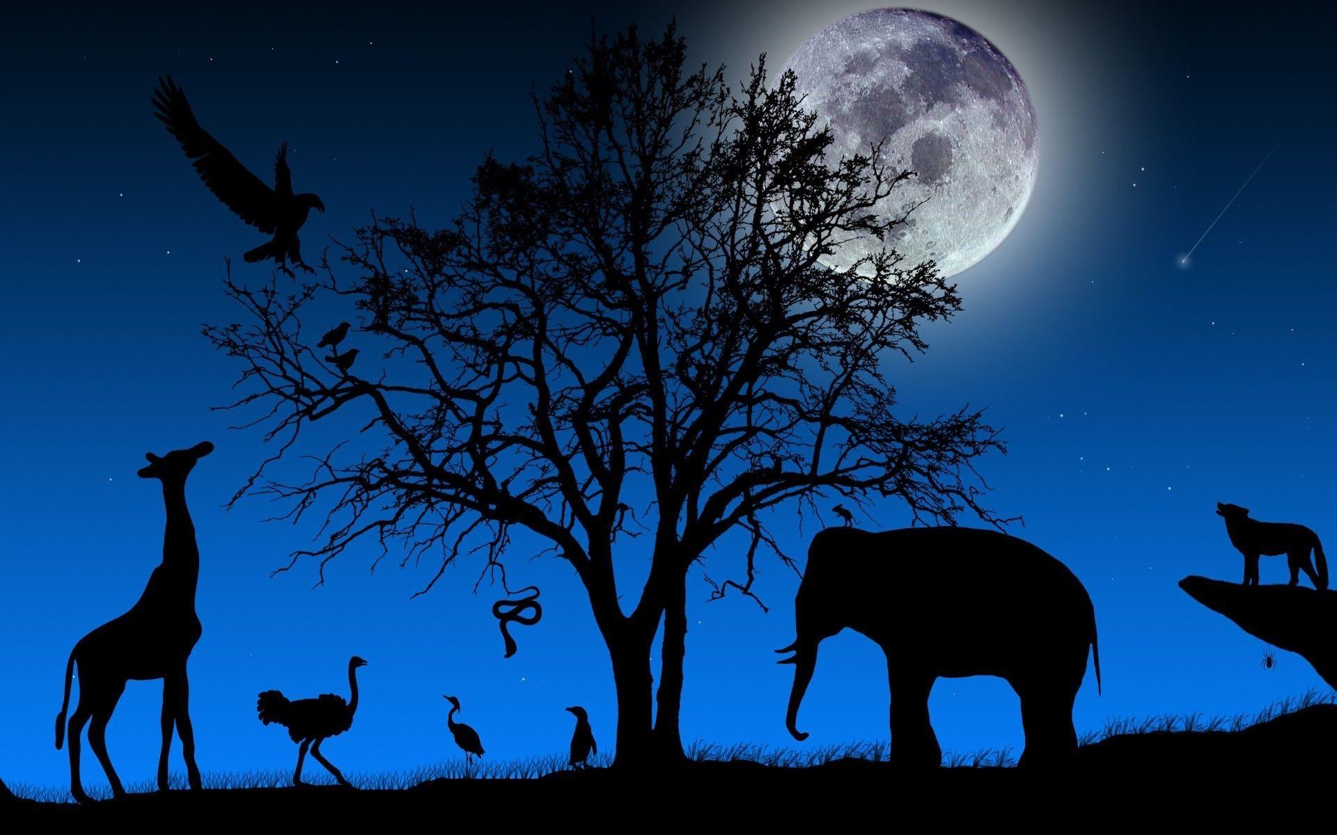 1920x1200 Africa Wallpaper