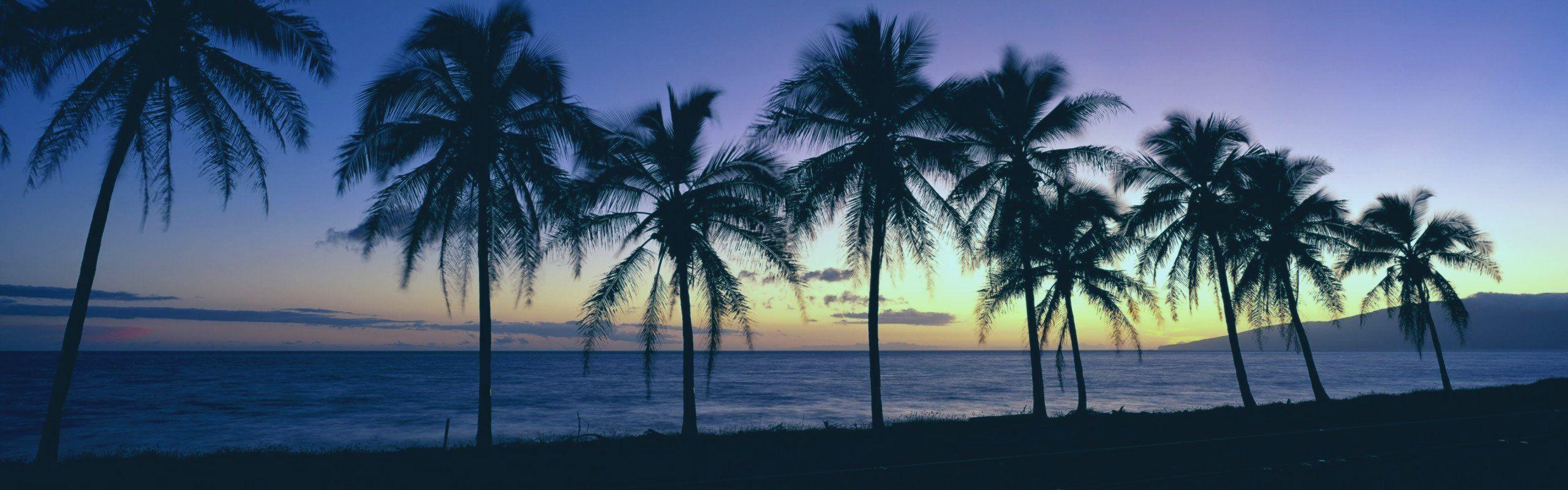 2560x800 Beautiful beach sunset Windows 8 panoramic widescreen wallpaper